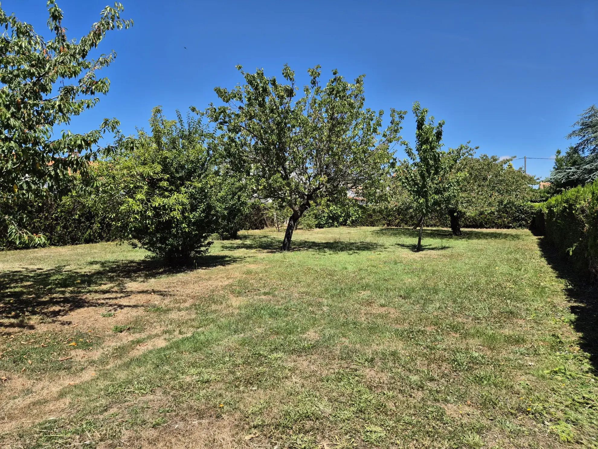 Terrain à bâtir à Fouras – Terrain constructible, borné, accessible en zone UC 