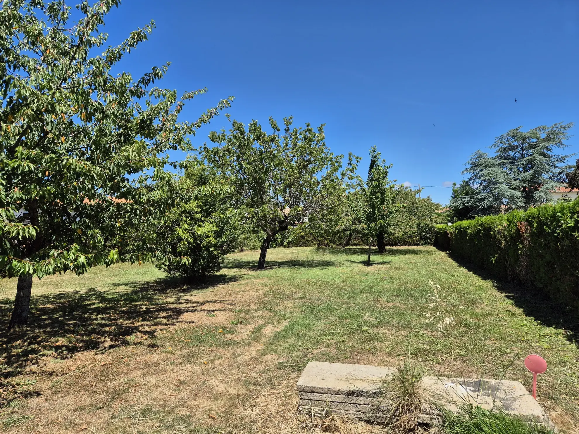 Terrain à bâtir à Fouras – Terrain constructible, borné, accessible en zone UC 