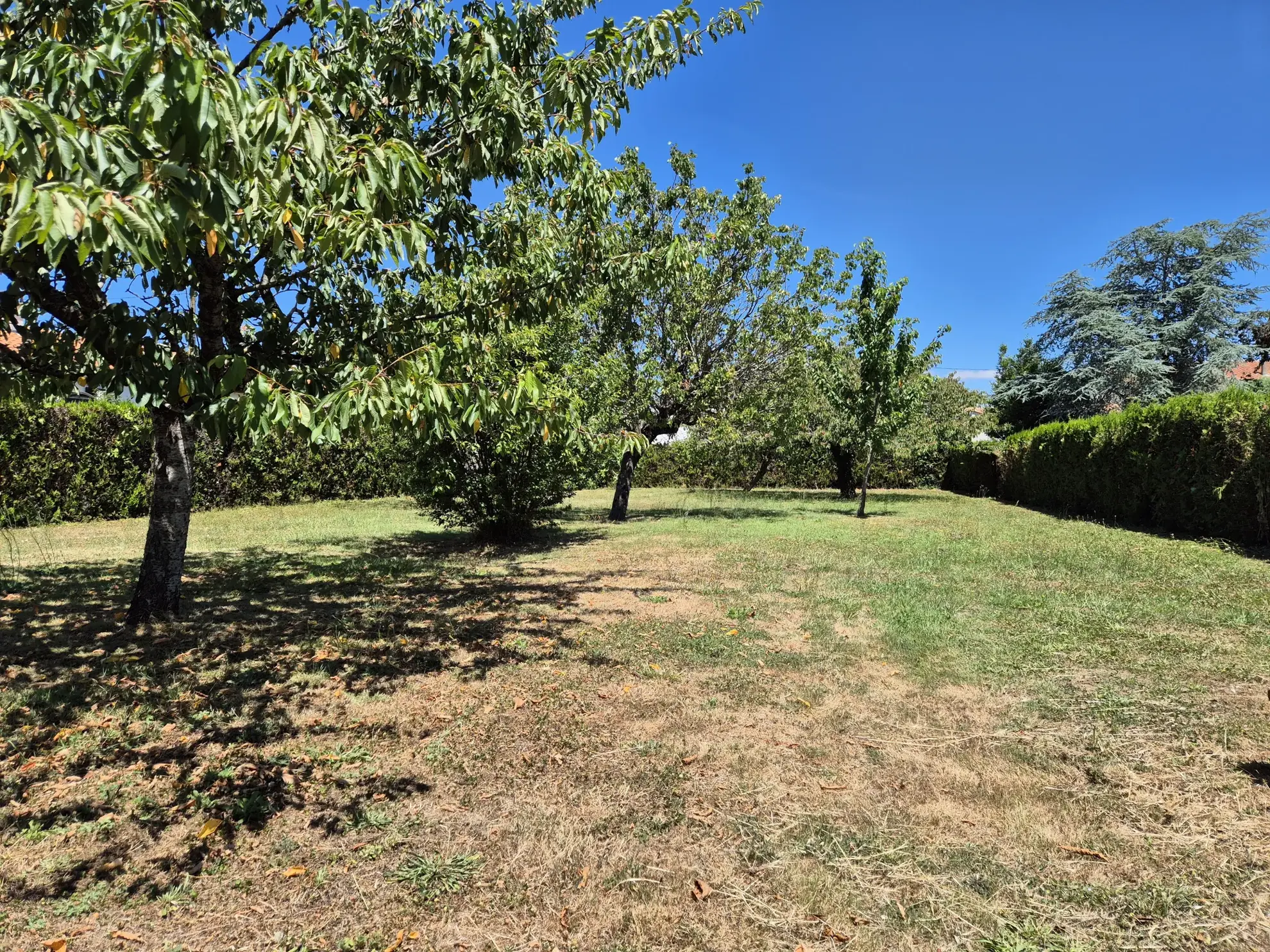 Terrain à bâtir à Fouras – Terrain constructible, borné, accessible en zone UC 