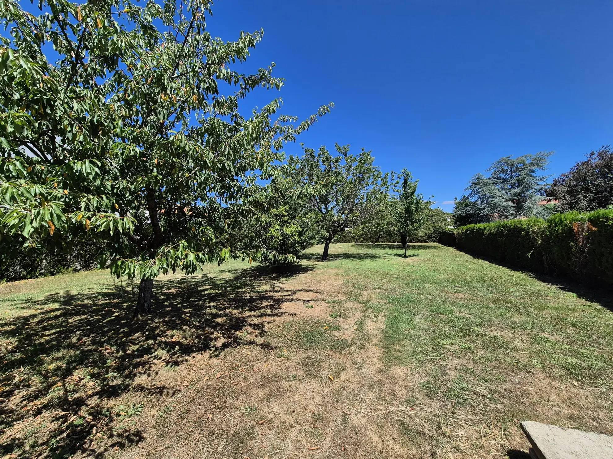 Terrain à bâtir à Fouras – Terrain constructible, borné, accessible en zone UC 