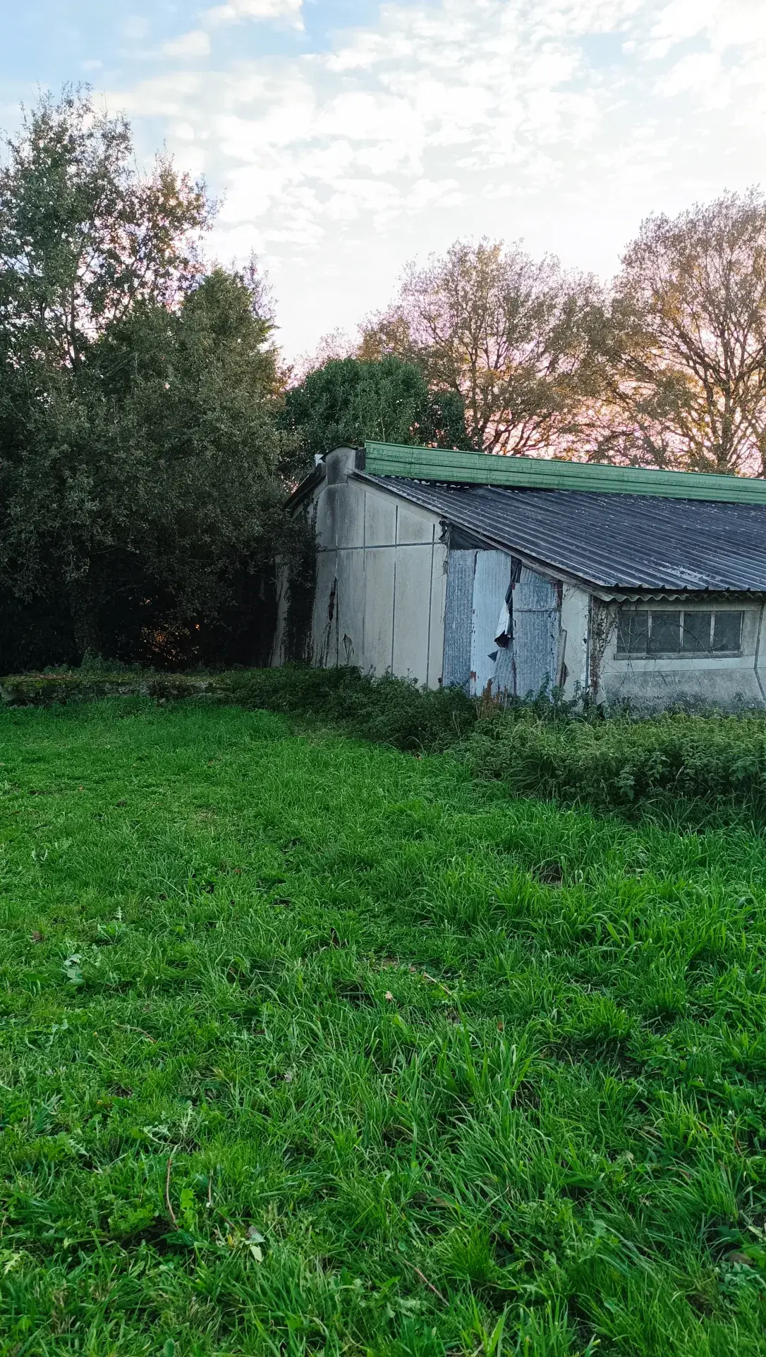 À vendre hangar de 558 m² à Saint Dolay, terrain de 2600 m² – Idéal projets industriels 