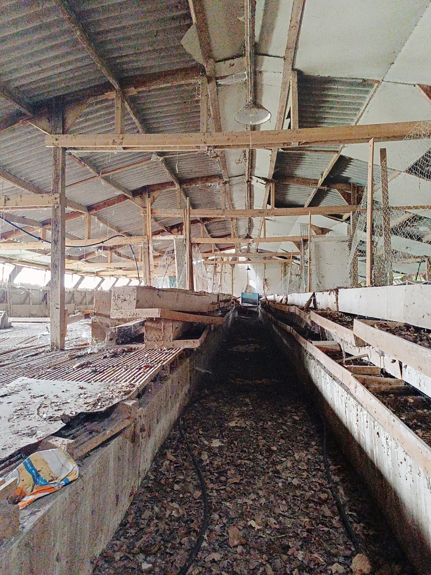 À vendre hangar de 558 m² à Saint Dolay, terrain de 2600 m² – Idéal projets industriels 