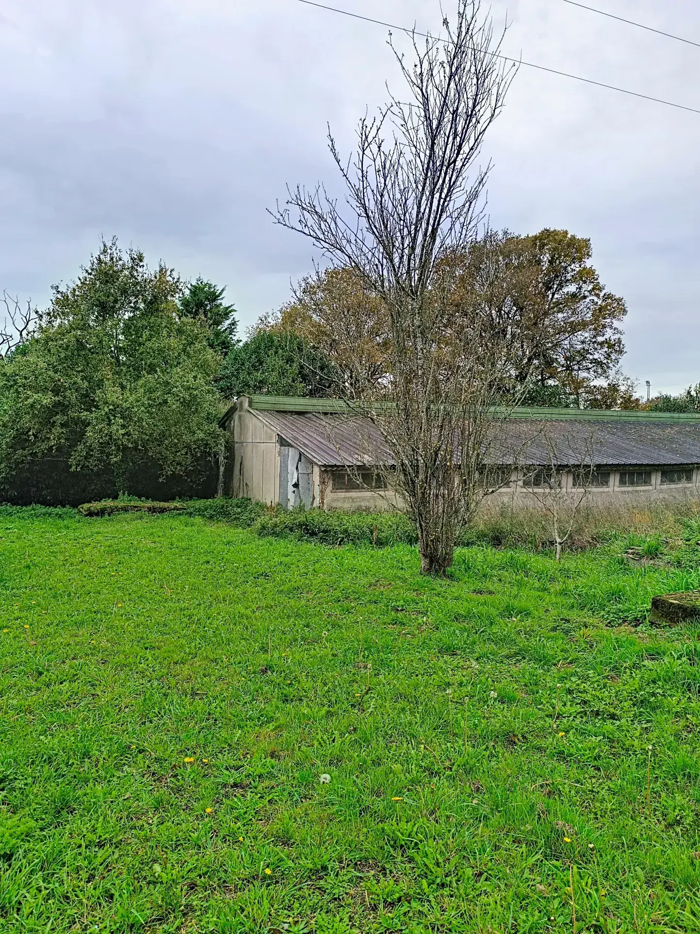 À vendre hangar de 558 m² à Saint Dolay, terrain de 2600 m² – Idéal projets industriels 