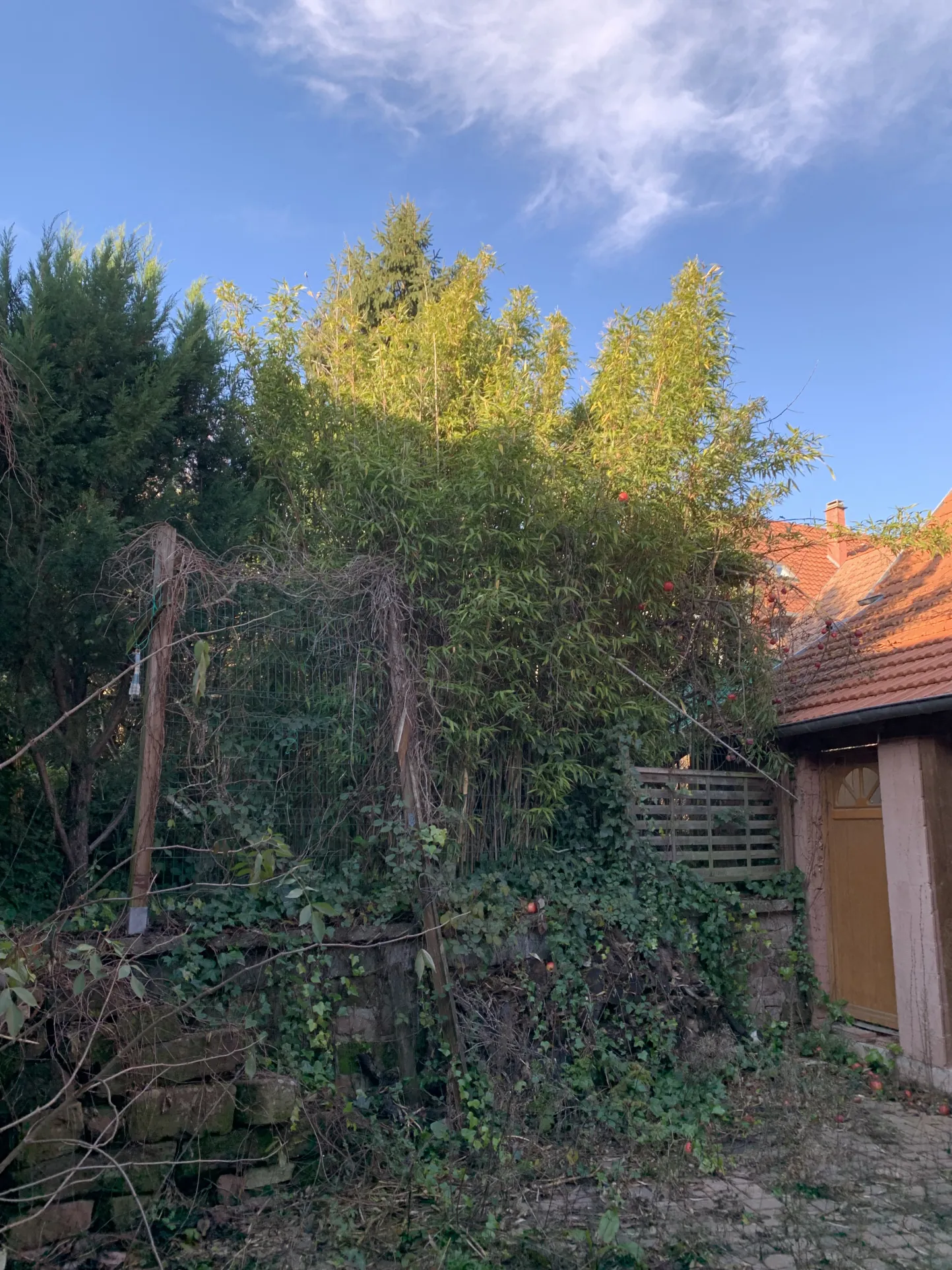 À vendre ensemble de deux maisons de village à Saint-Jean-Saverne - Surface totale 194 m² 