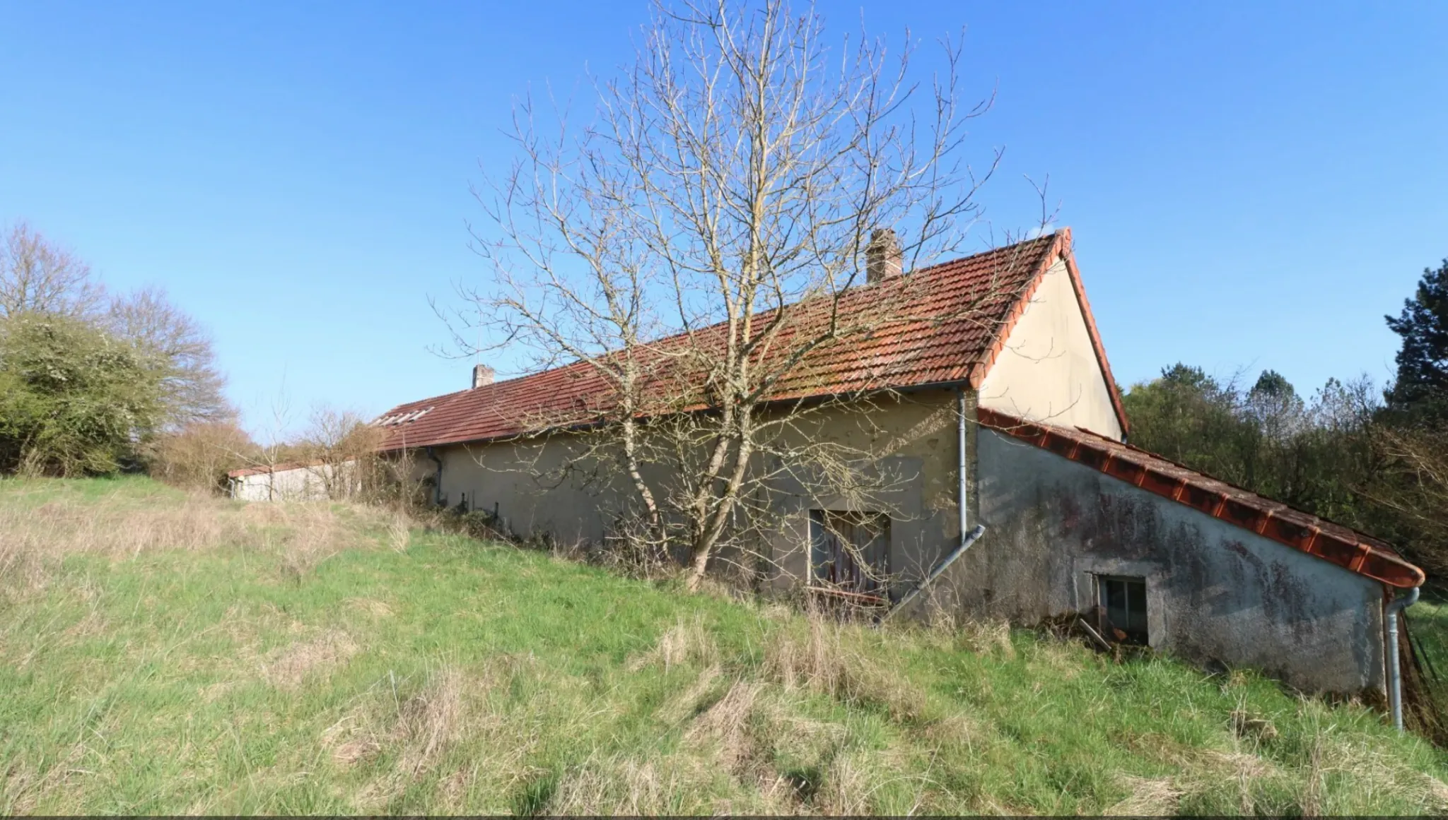 Longère avec étang et 3,7 hectares à vendre à La Guerche-sur-l'Aubois 