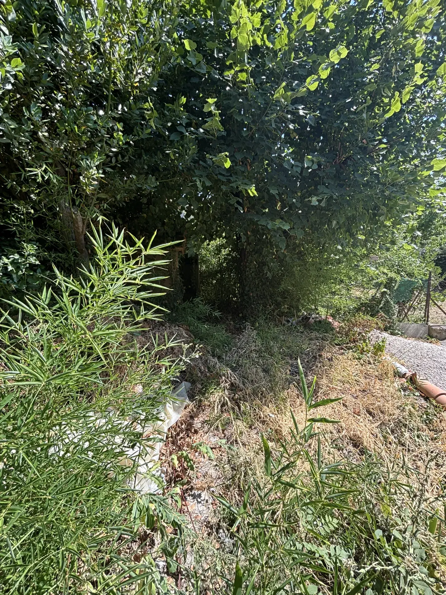 Maison de village à rénover avec jardin et garage au cœur de Buis-les-Baronnies 