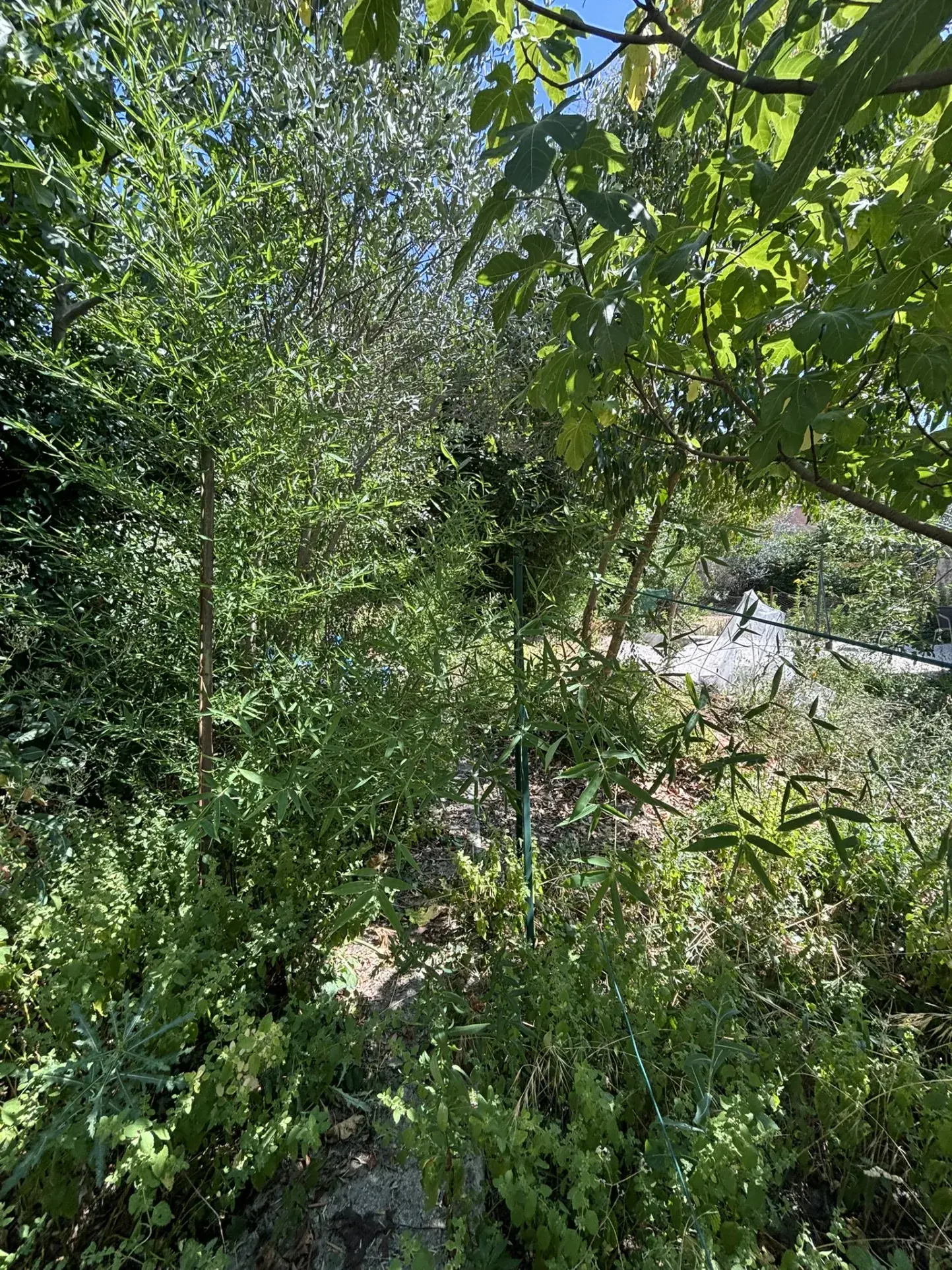 Maison de village à rénover avec jardin et garage au cœur de Buis-les-Baronnies 