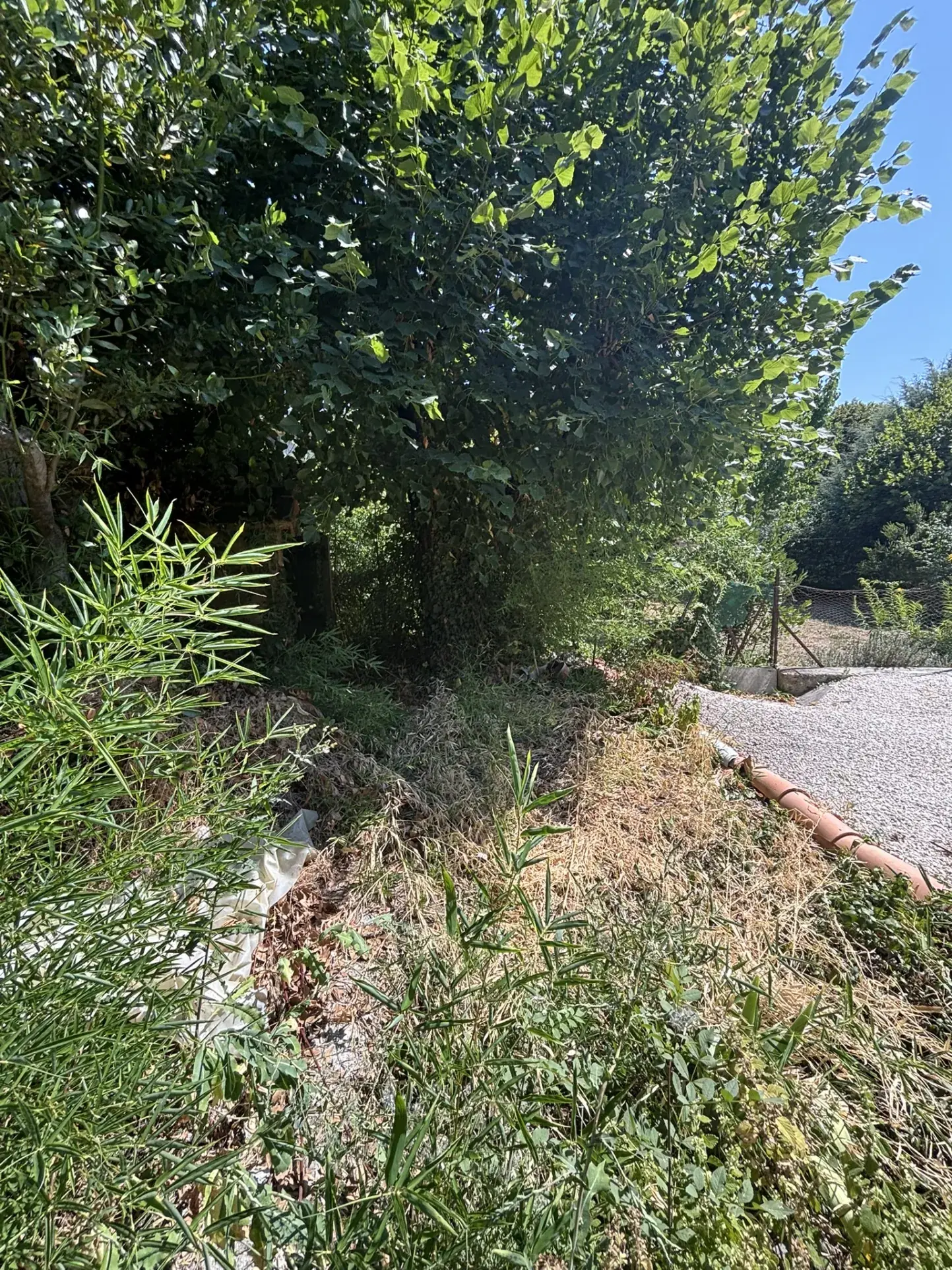 Maison de village à rénover avec jardin et garage au cœur de Buis-les-Baronnies 