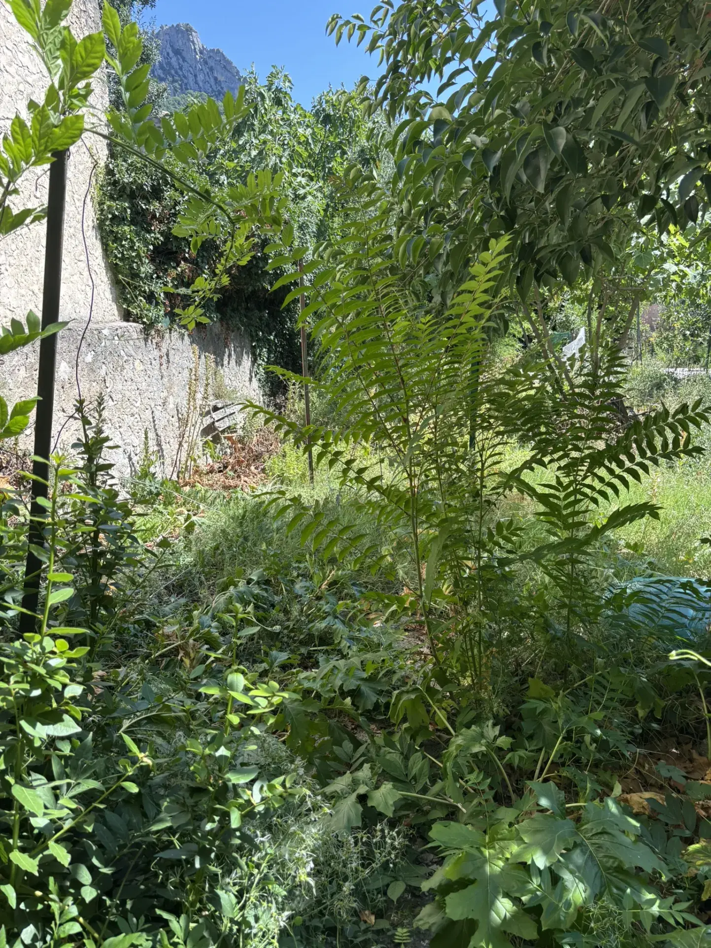Maison de village à rénover avec jardin et garage au cœur de Buis-les-Baronnies 