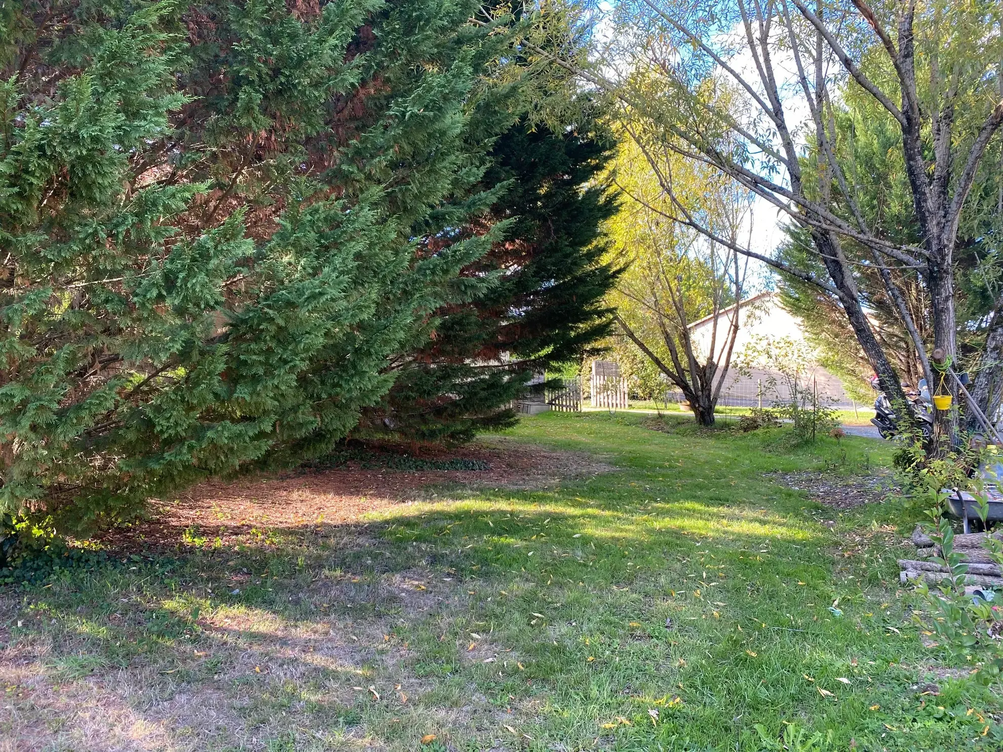 Maison de plain-pied à Ribérac avec terrain arboré et garage – 3 chambres, lumineux espace de vie 