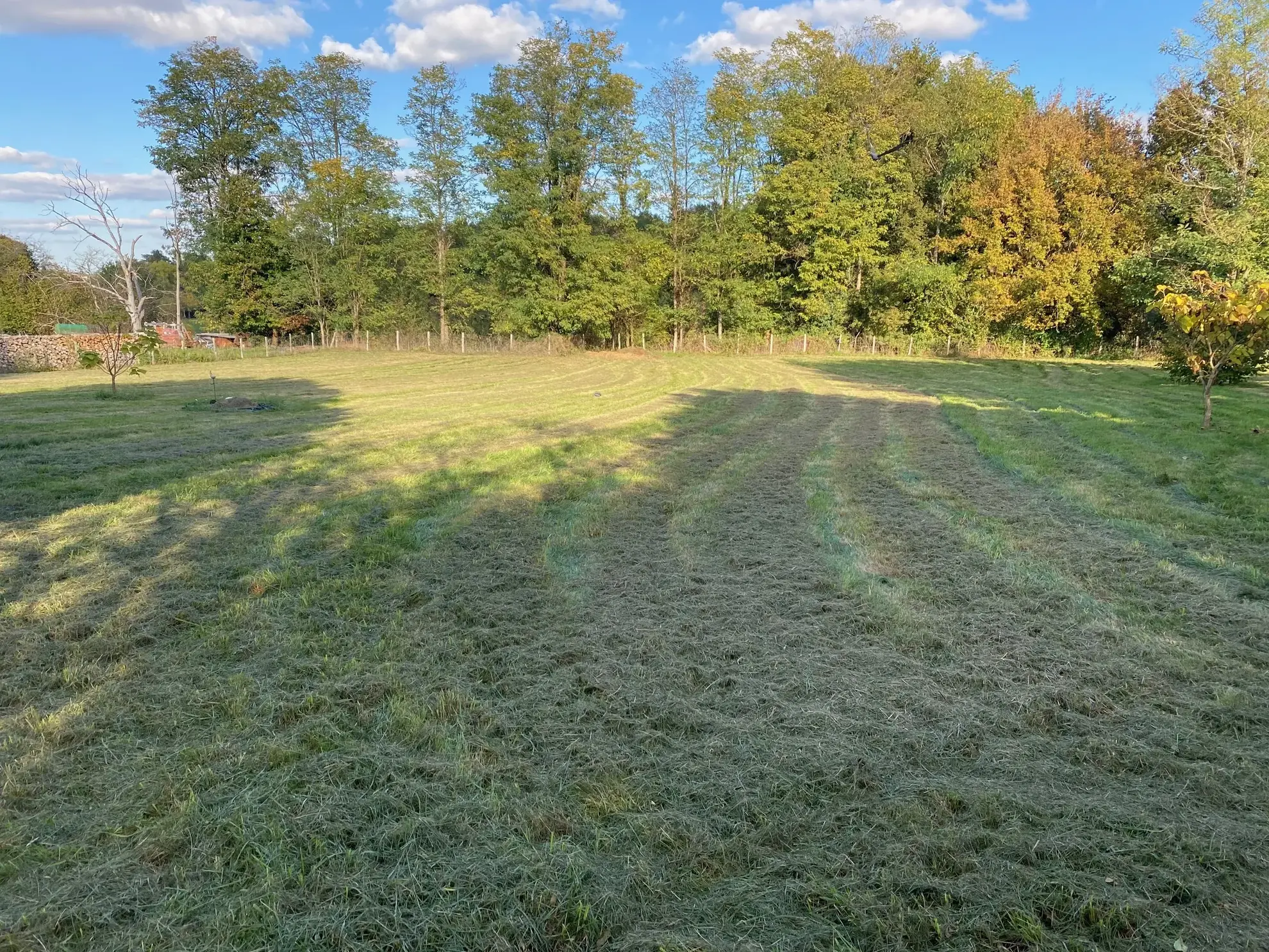 Maison de plain-pied à Ribérac avec terrain arboré et garage – 3 chambres, lumineux espace de vie 