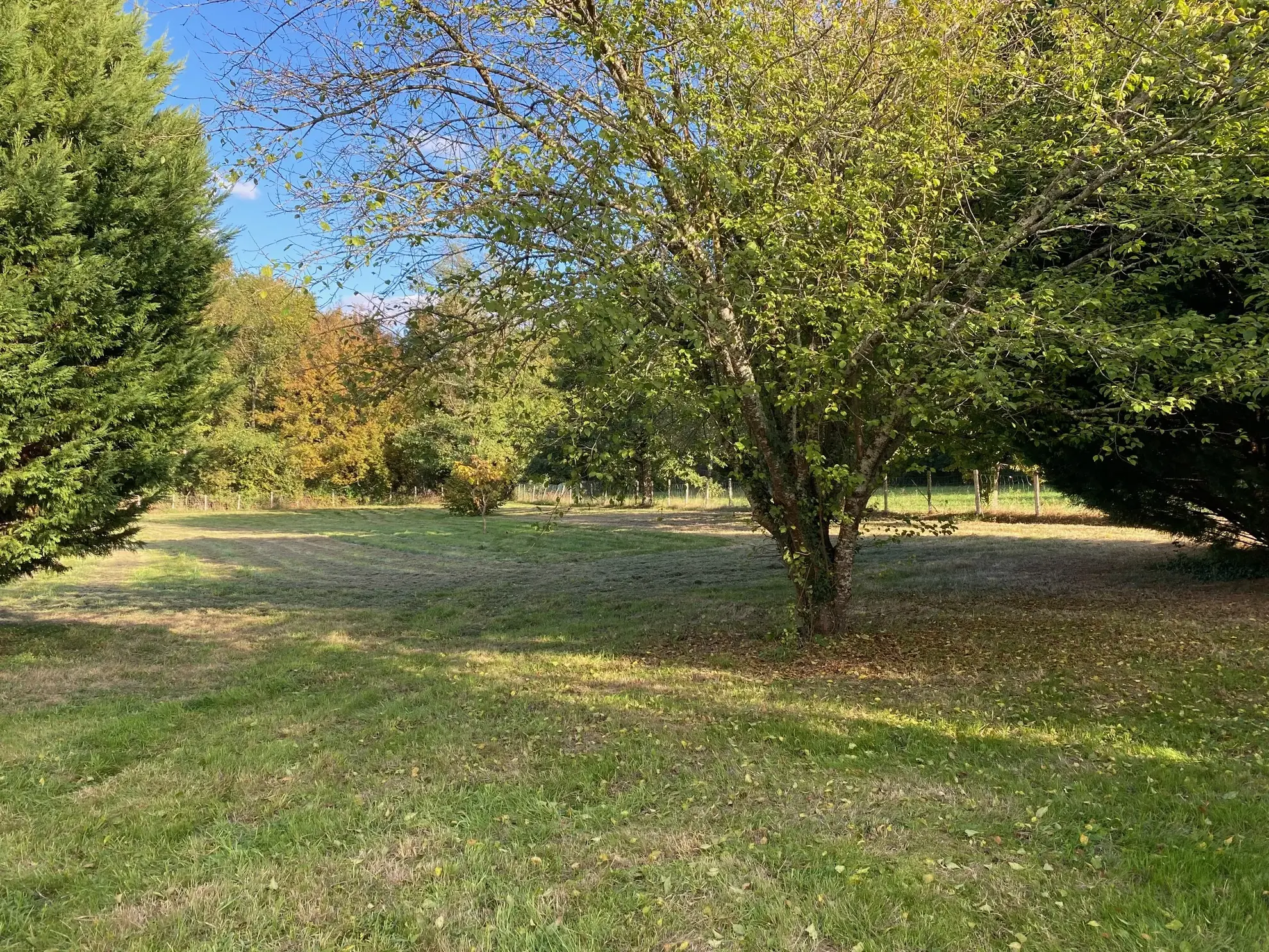 Maison de plain-pied à Ribérac avec terrain arboré et garage – 3 chambres, lumineux espace de vie 