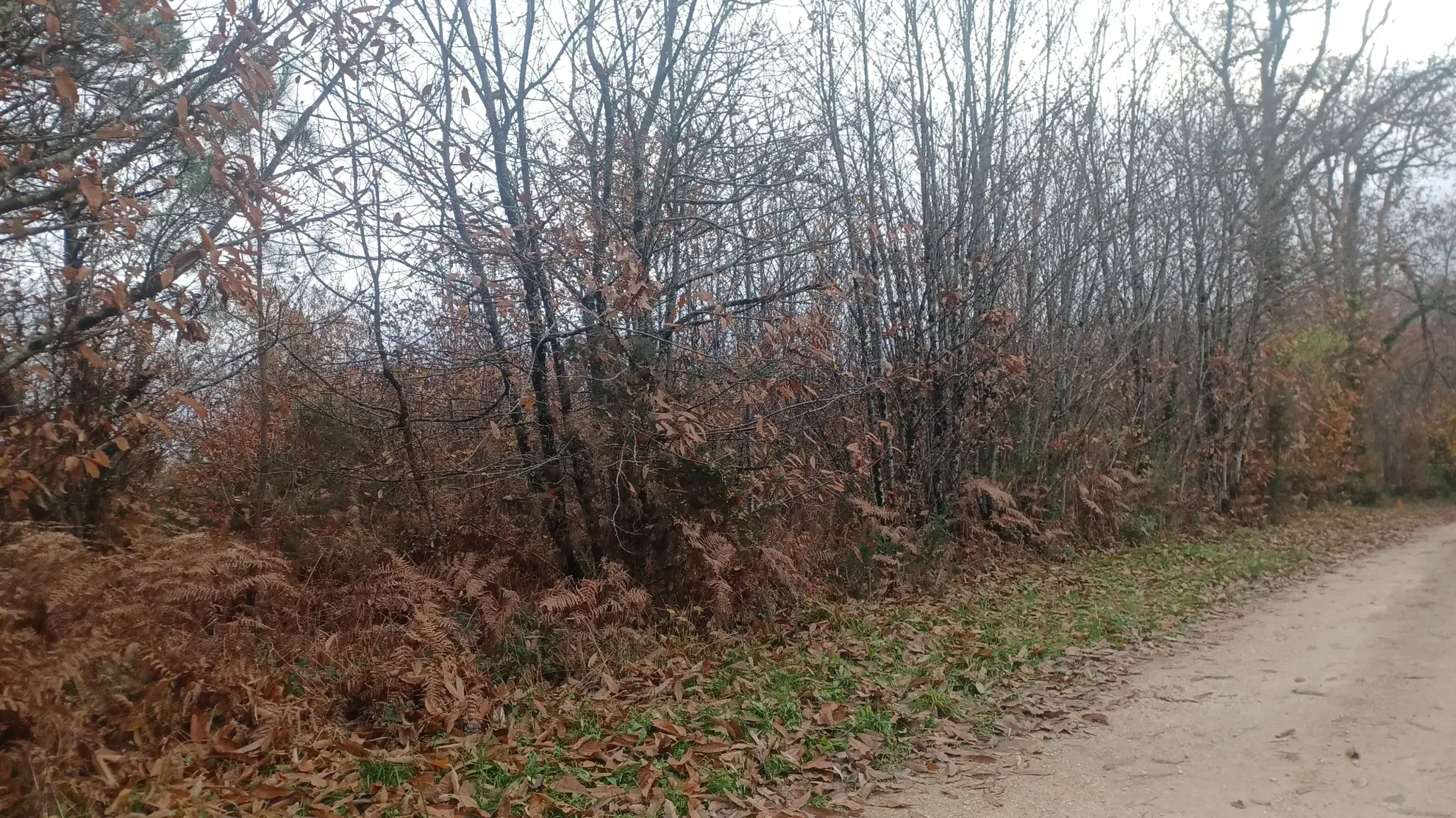 Terrains à bâtir à Meyrals - Opportunités de construction et d'investissement 