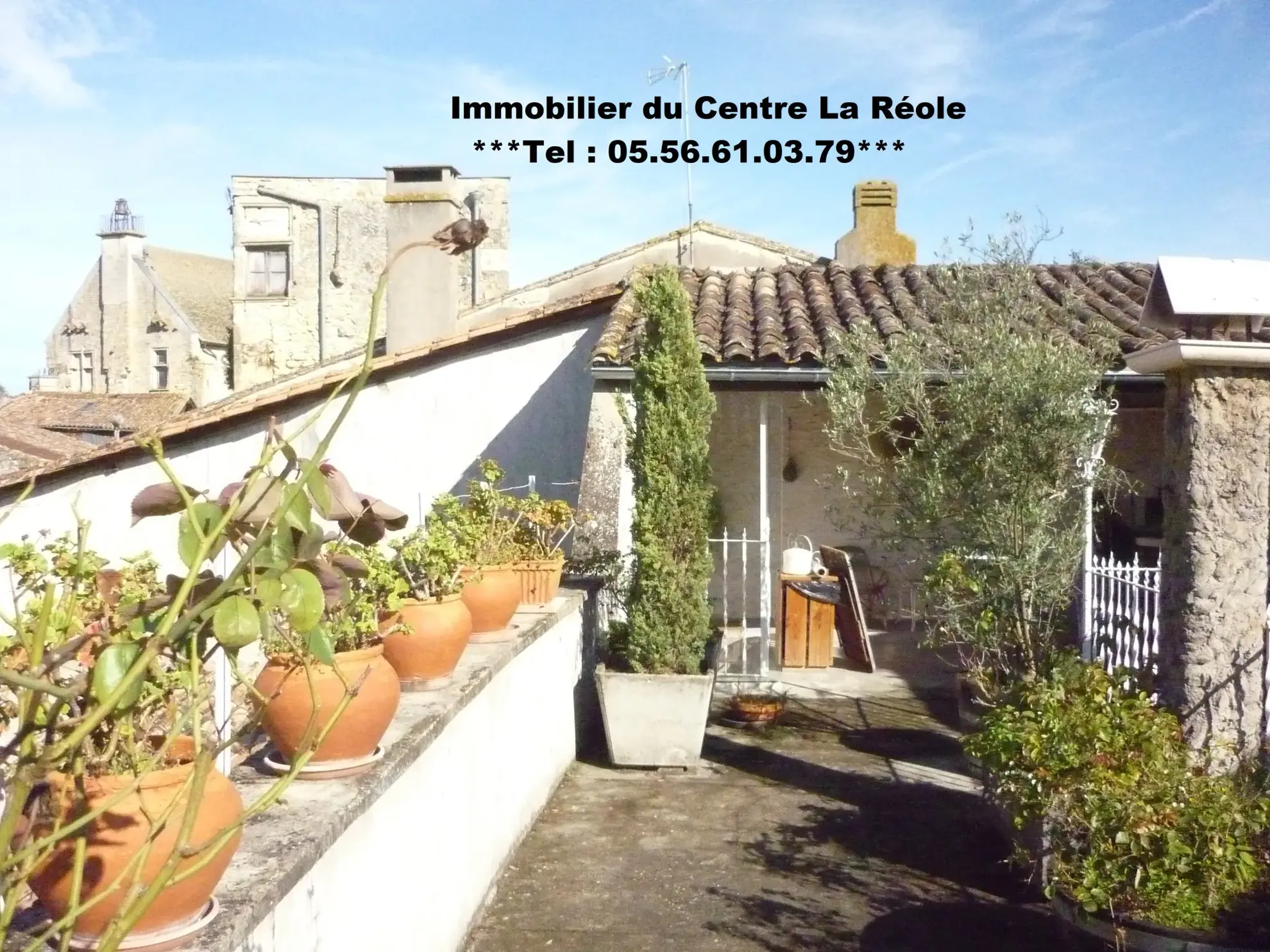 Bel immeuble de ville de 250 m² avec terrasse et local commercial à La Réole 