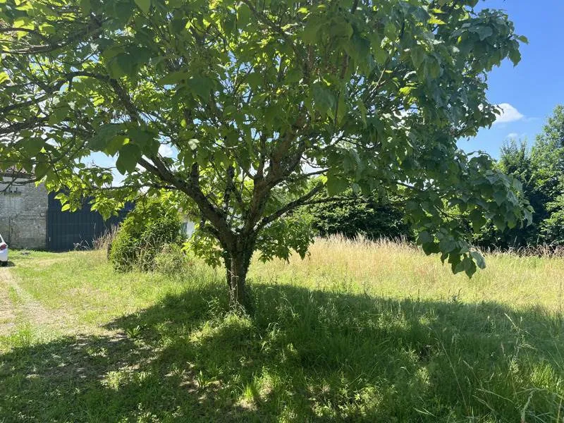 Villa ancienne de 228 m² avec dépendances et jardin près de La Réole 