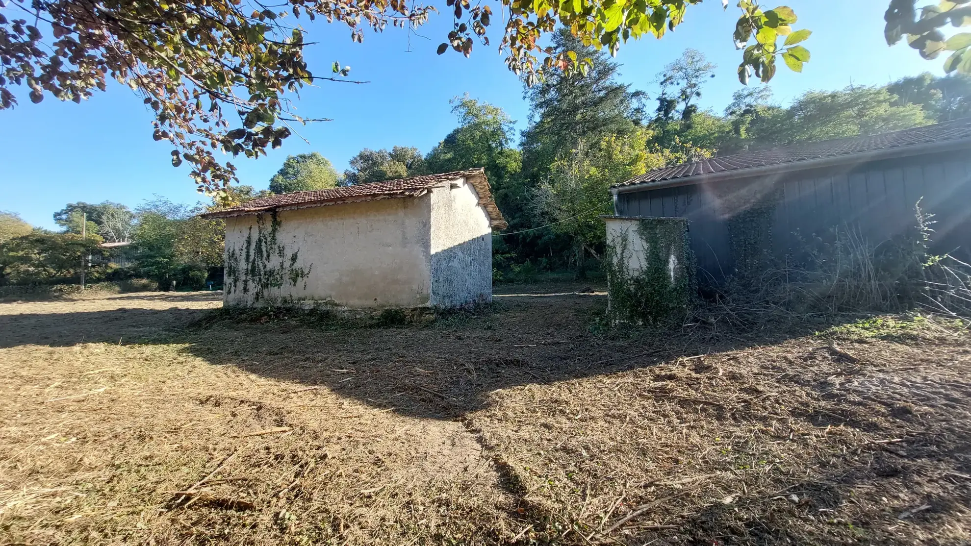 Villa ancienne de 228 m² avec dépendances et jardin près de La Réole 