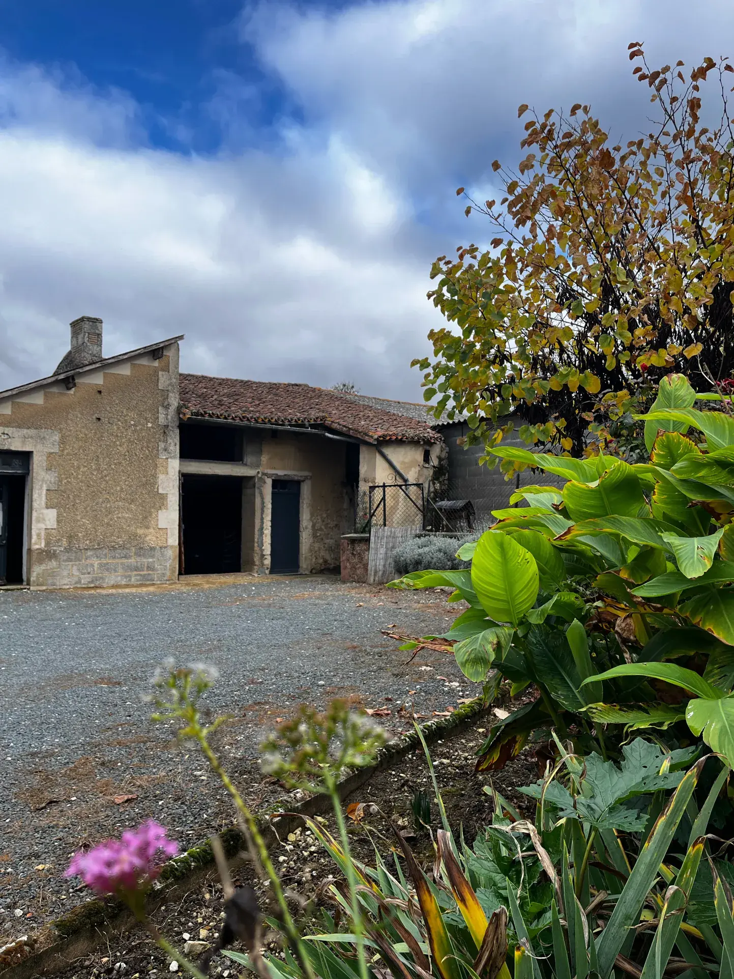 Maison de village avec dépendances, cour et jardin à Verger sur Dive 