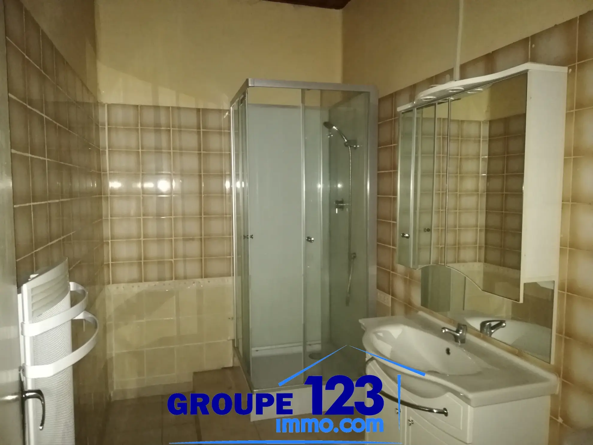 Maison avec local commercial à Aillant-sur-Tholon – Idéal projet résidentiel et professionnel 