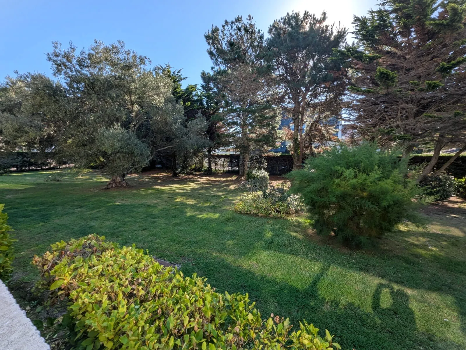 Studio lumineux avec grande terrasse plein sud à Quiberon 