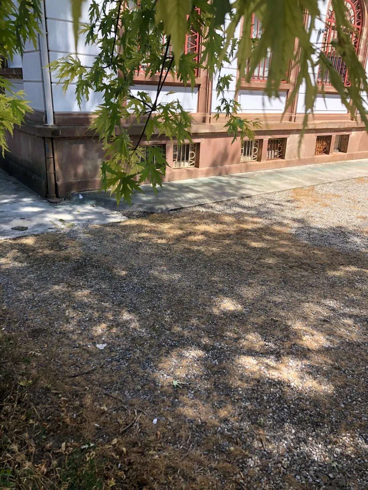 Local commercial de 89 m² à Saint-Louis, proche gare et parking privé 