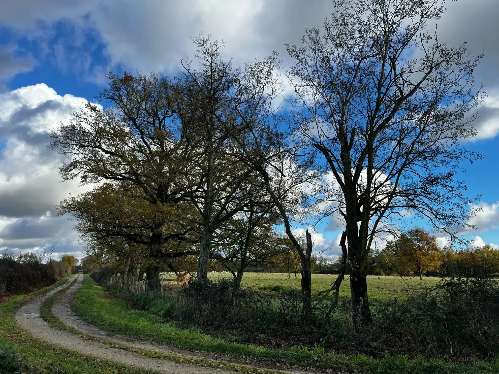 Magnifique propriété équestre rénovée avec terrain de 2,5 hectares près de Loches, Le Blanc et La Roche Posay 