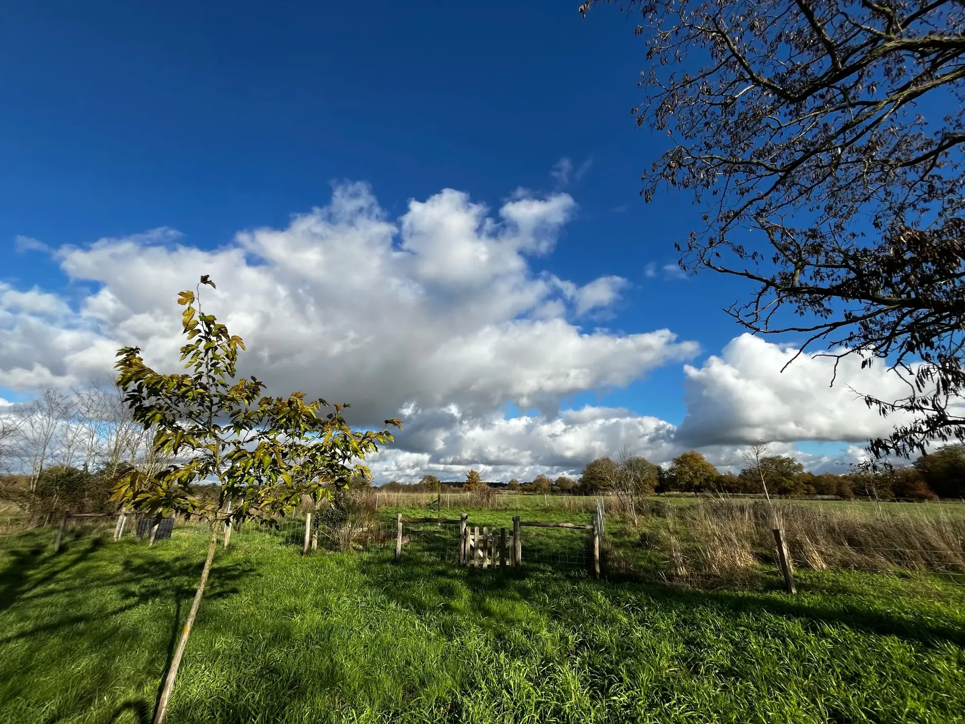 Magnifique propriété équestre rénovée avec terrain de 2,5 hectares près de Loches, Le Blanc et La Roche Posay 