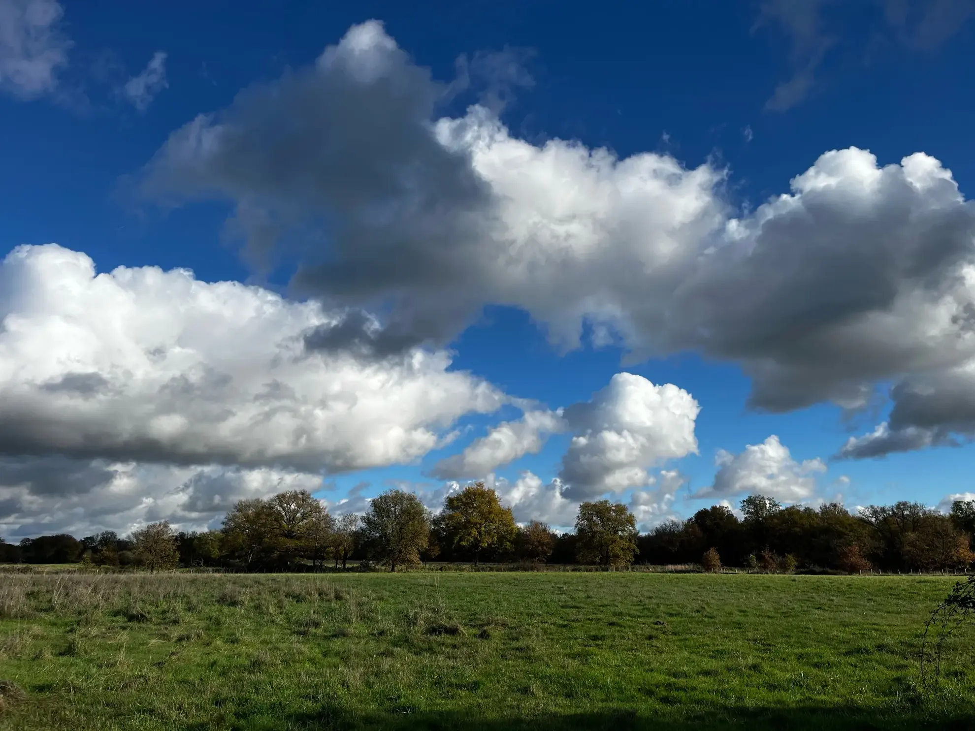 Magnifique propriété équestre rénovée avec terrain de 2,5 hectares près de Loches, Le Blanc et La Roche Posay 