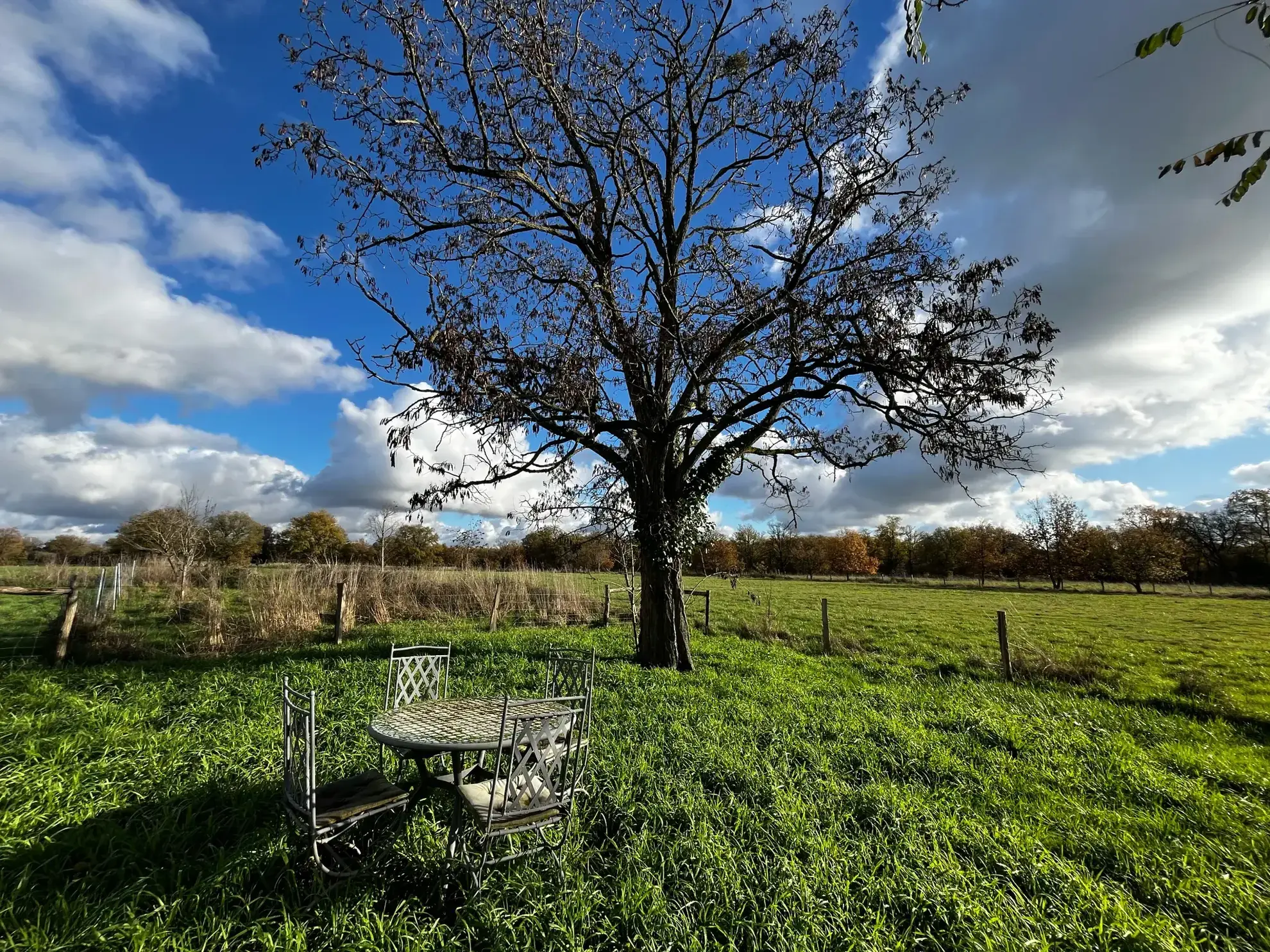 Magnifique propriété équestre rénovée avec terrain de 2,5 hectares près de Loches, Le Blanc et La Roche Posay 