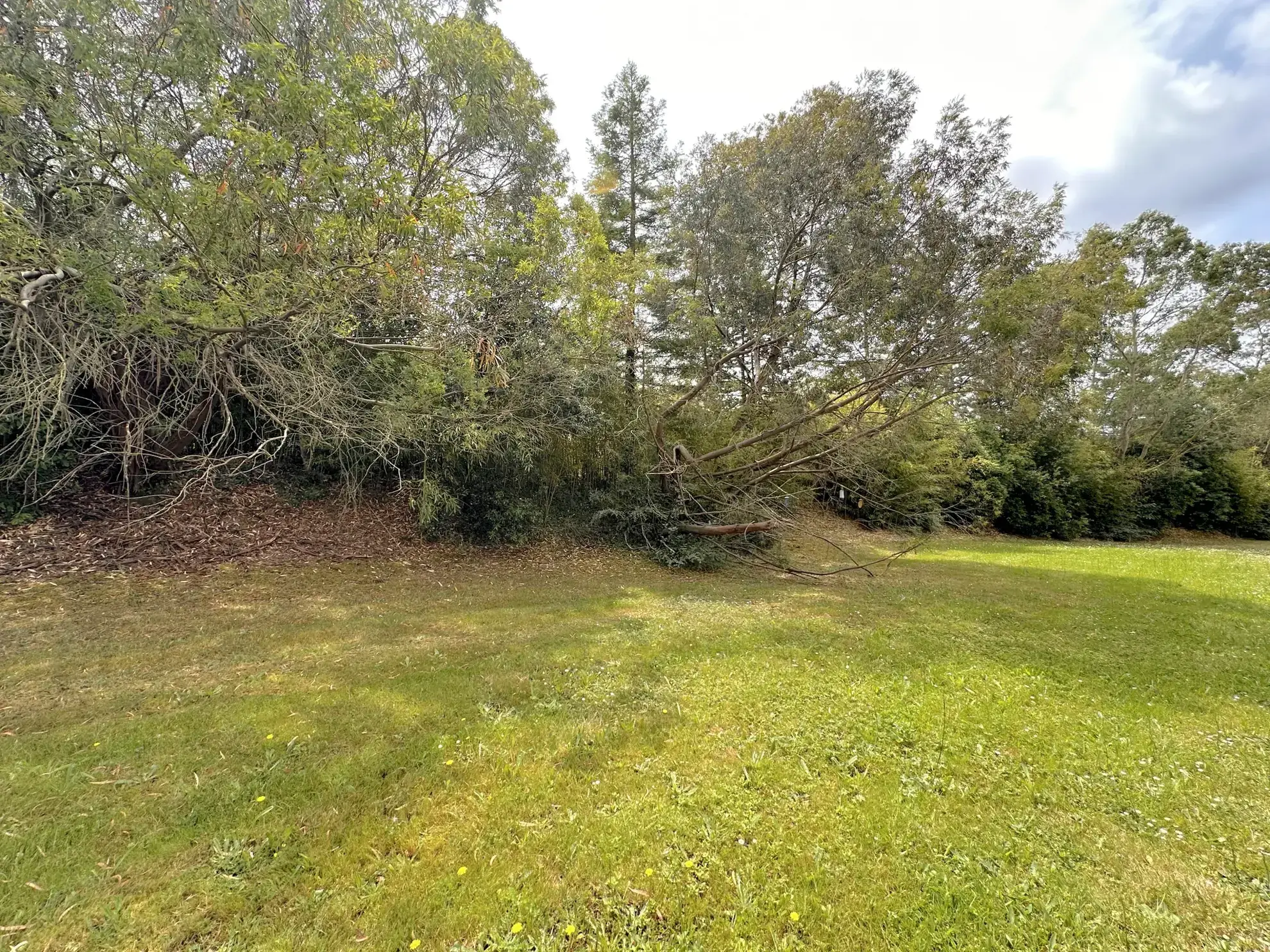 Appartement T2 en vente à La Chapelle-Heulin – Investissement LMNP avec parking et balcon 