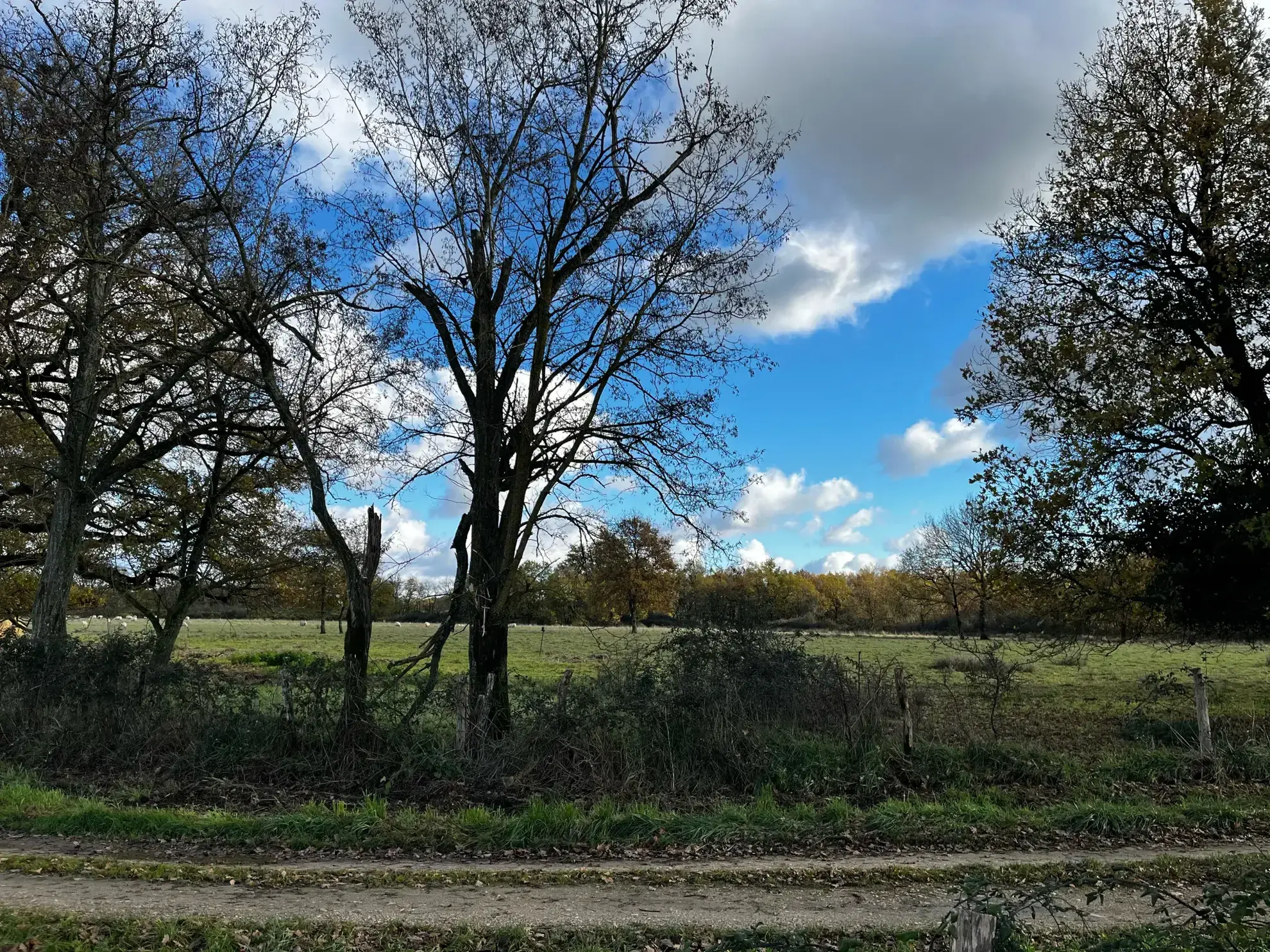 Magnifique propriété équestre rénovée avec terrain de 2,5 hectares près de Loches, Le Blanc et La Roche Posay 
