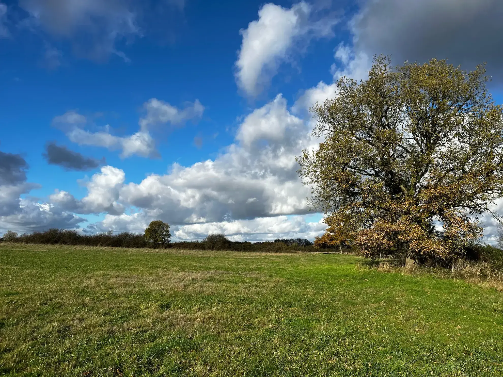 Magnifique propriété équestre rénovée avec terrain de 2,5 hectares près de Loches, Le Blanc et La Roche Posay 