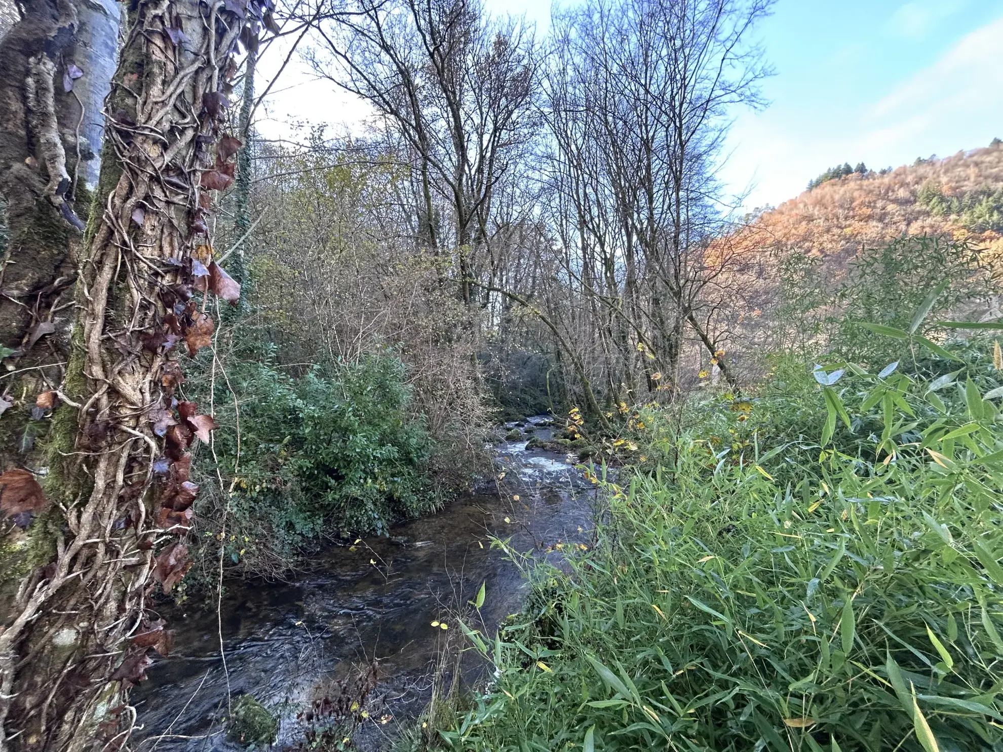 Belle maison en pierre avec double logement, piscine et vue dégagée près de la Dordogne 