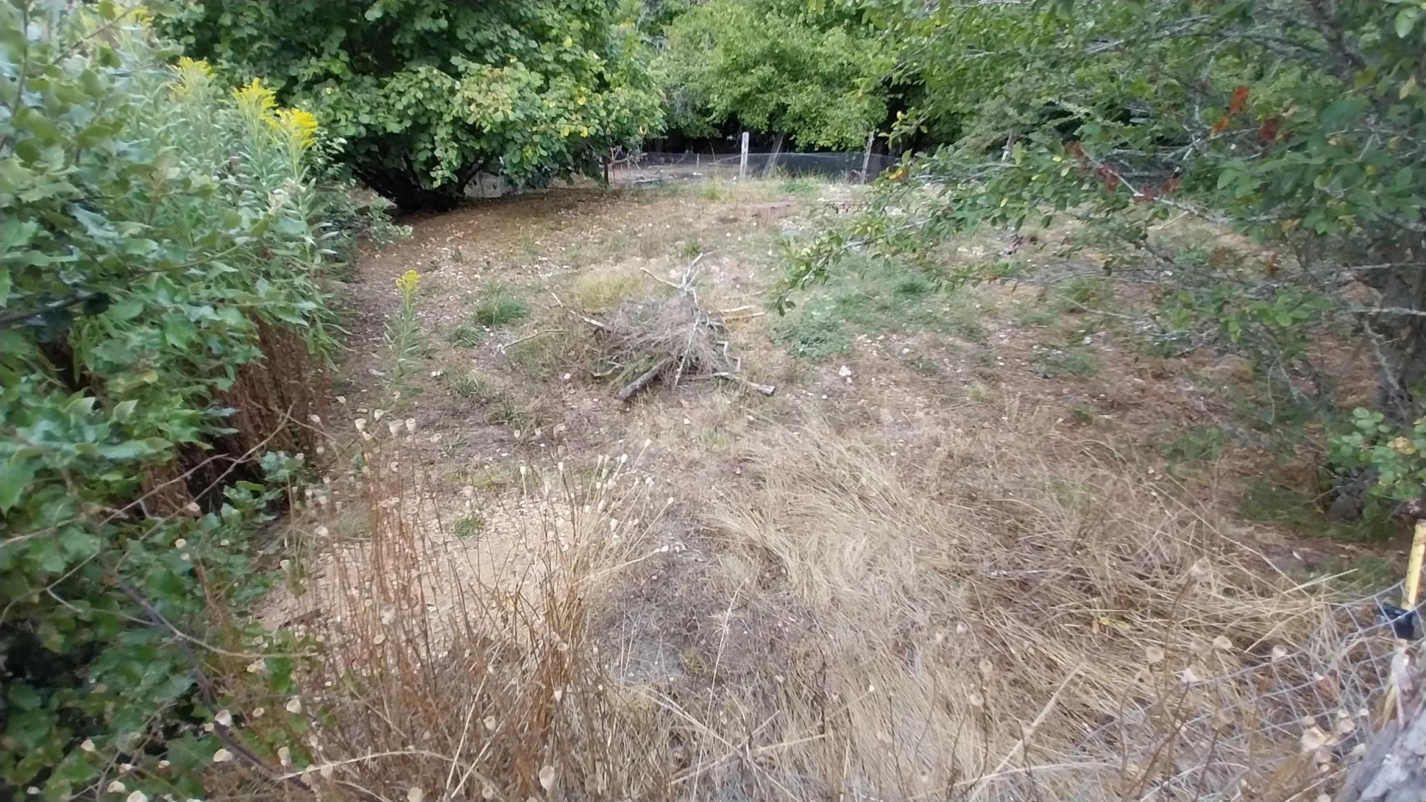 Maison avec dépendances et 2 hectares à Château l'Évêque, proche Périgueux 