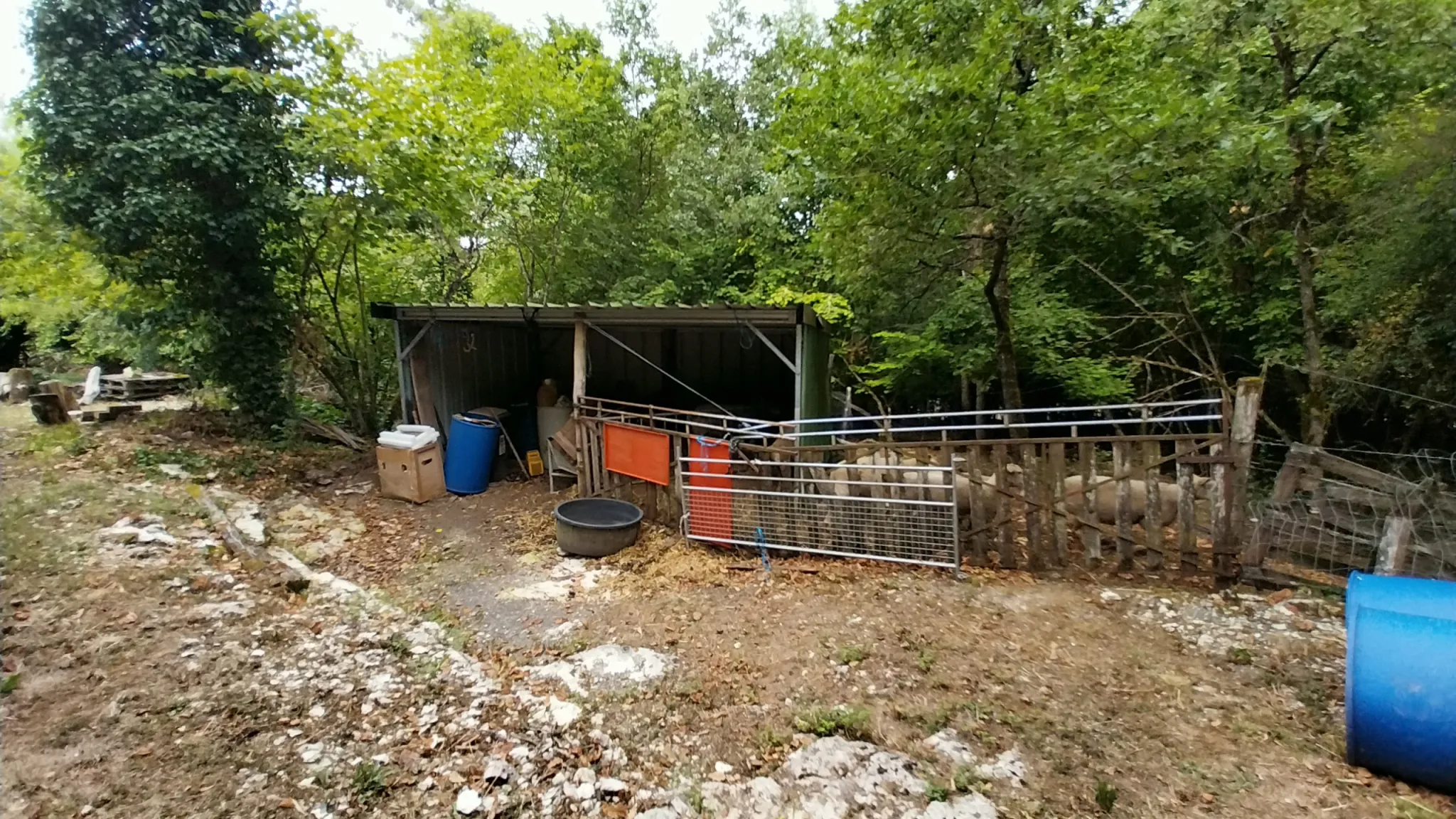 Maison avec dépendances et 2 hectares à Château l'Évêque, proche Périgueux 