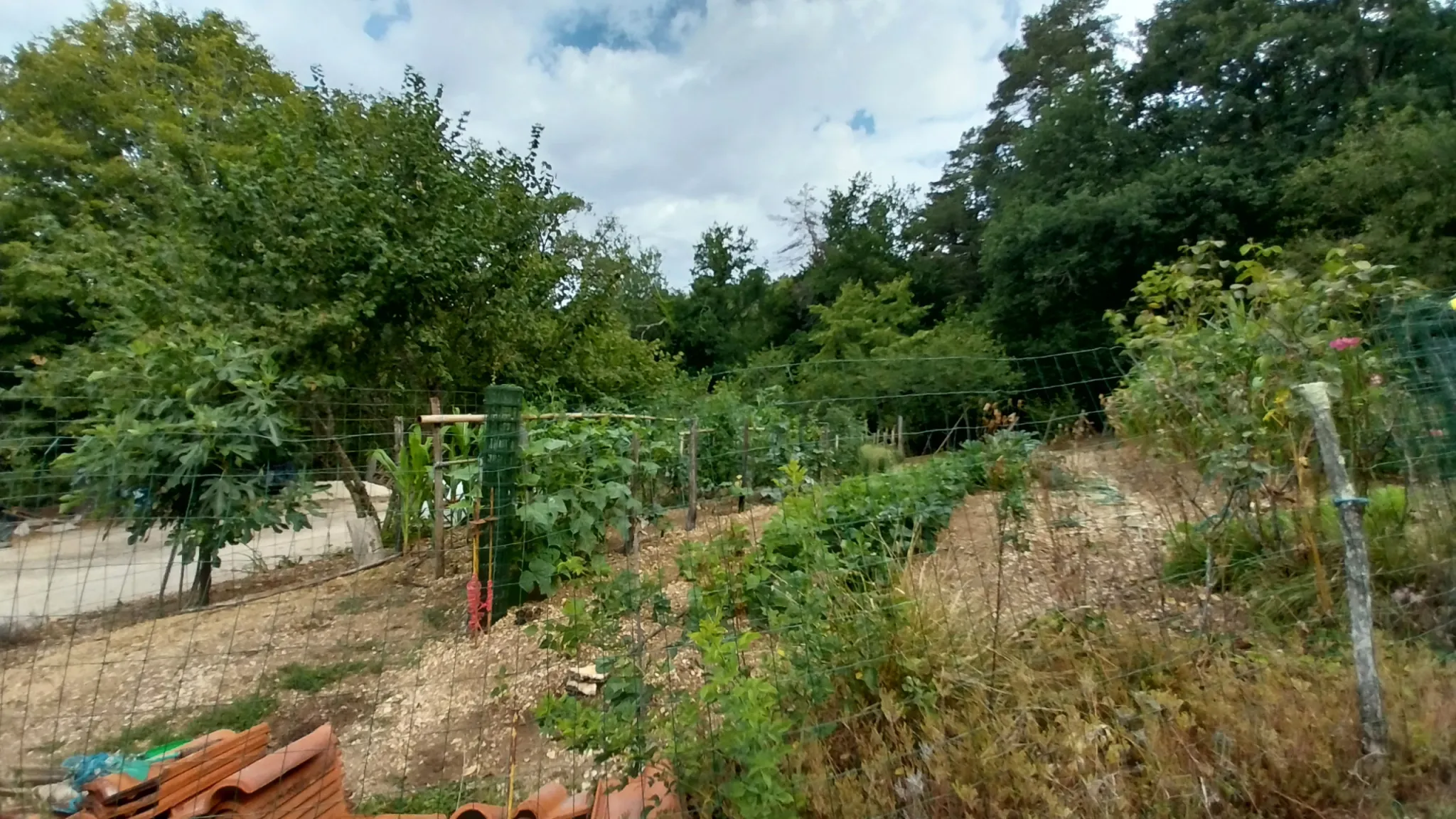 Maison avec dépendances et 2 hectares à Château l'Évêque, proche Périgueux 