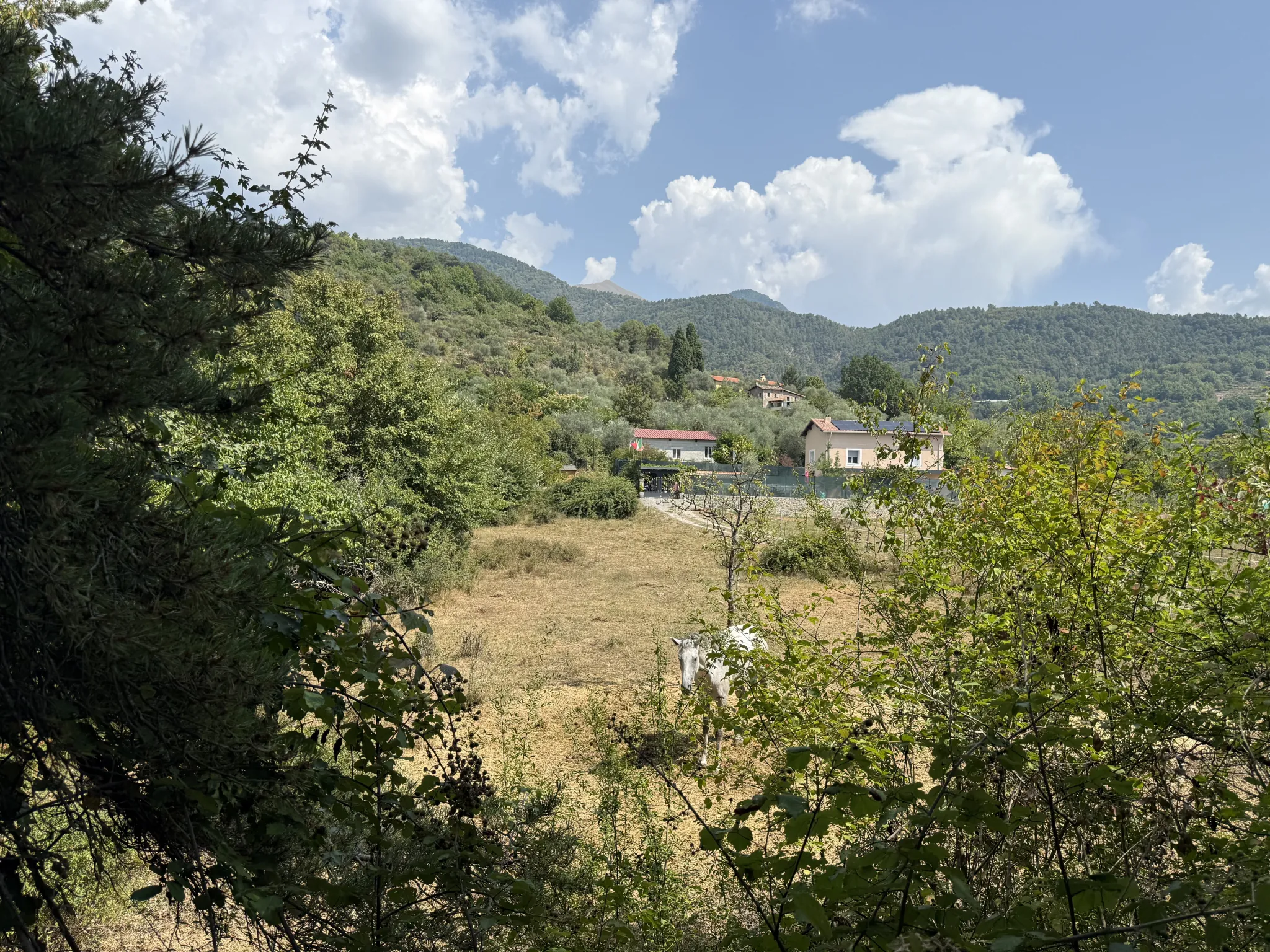 Terrain agricole de 2926 m² à Sospel, idéal pour chevaux et écurie privée 