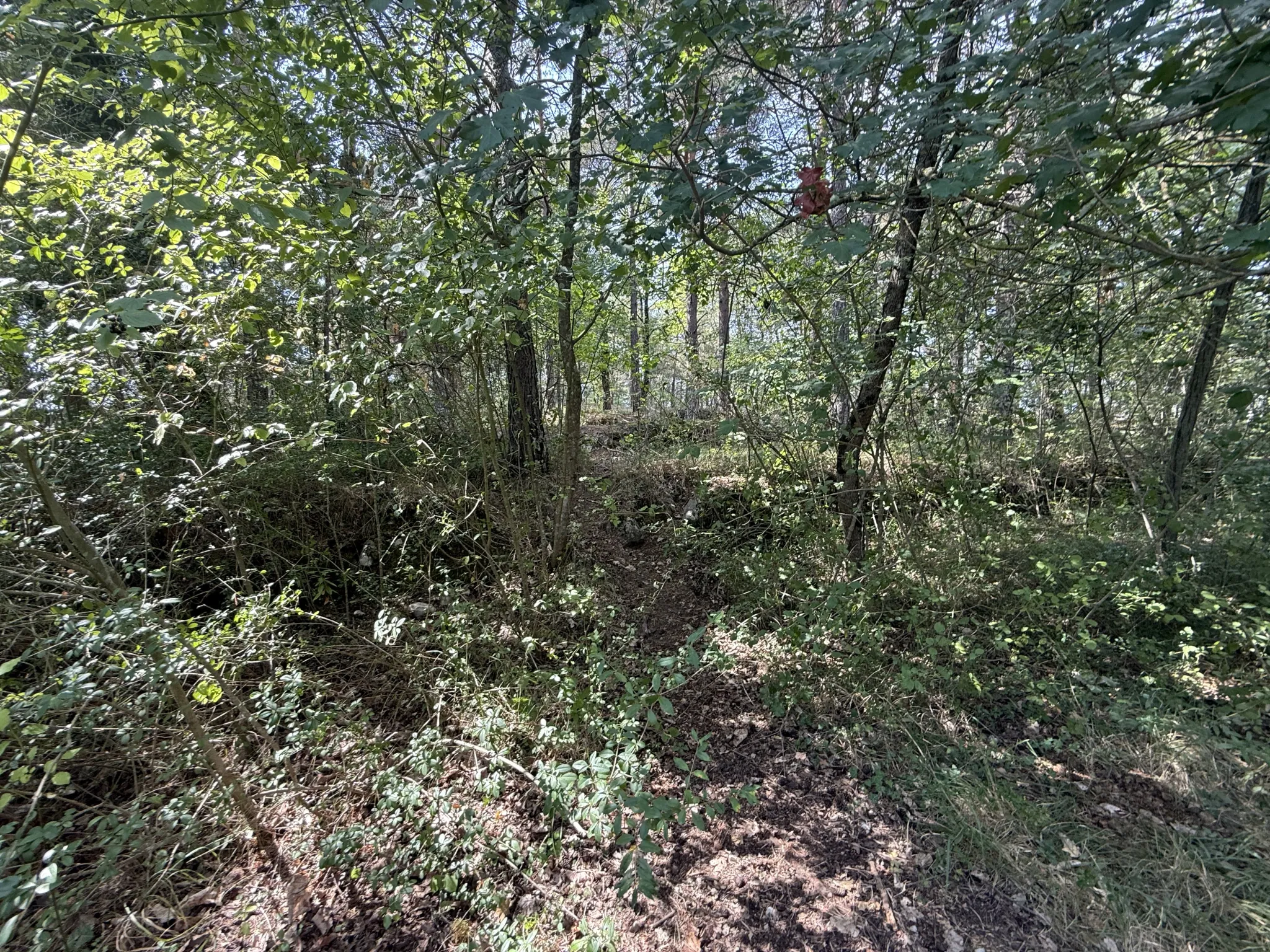 Terrain agricole de 2926 m² à Sospel, idéal pour chevaux et écurie privée 