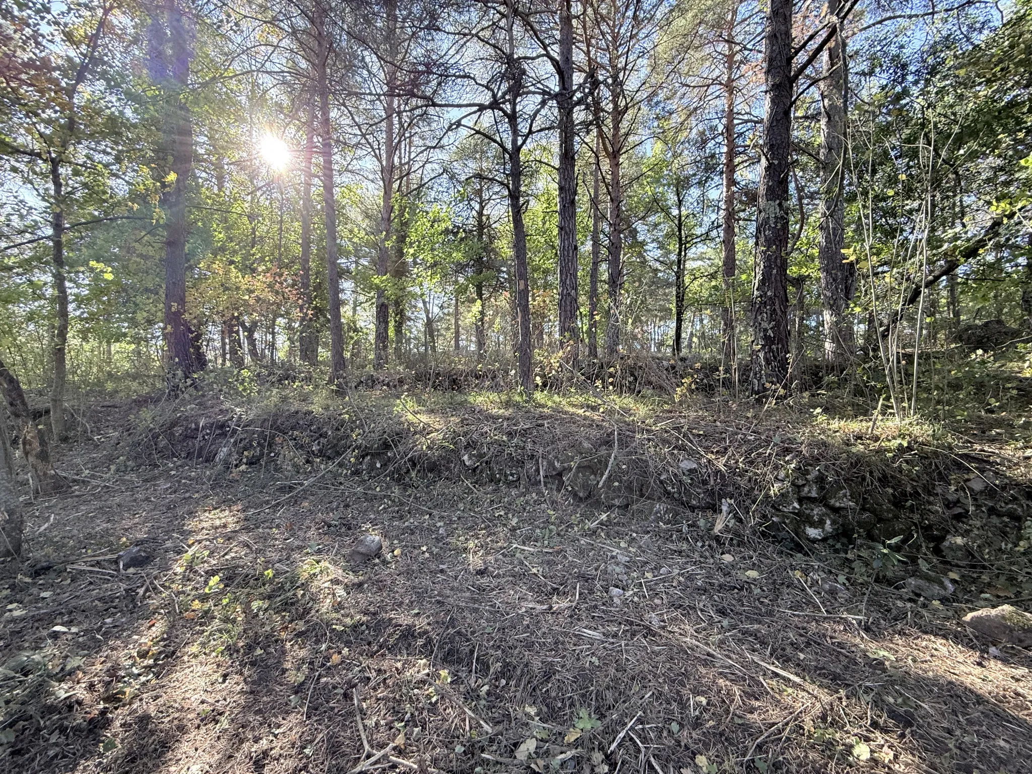 Terrain agricole de 2926 m² à Sospel, idéal pour chevaux et écurie privée 