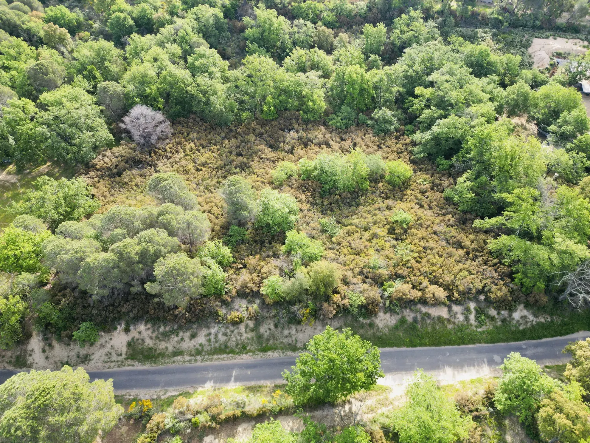 Terrain de loisir à Argelès-sur-Mer avec vue sur le château de Valmy - 2600 m²