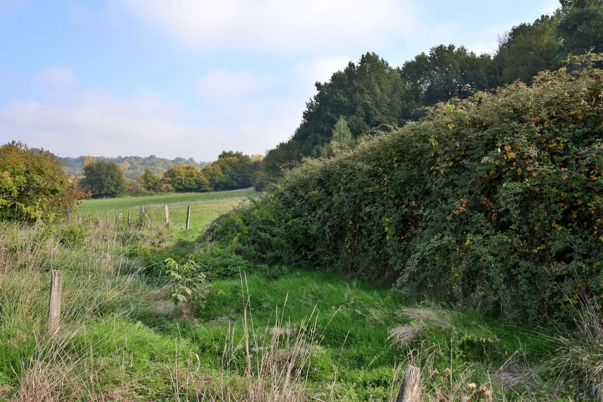 Maison à rénover de 110 m² avec grand terrain à Oytier Saint Oblas 