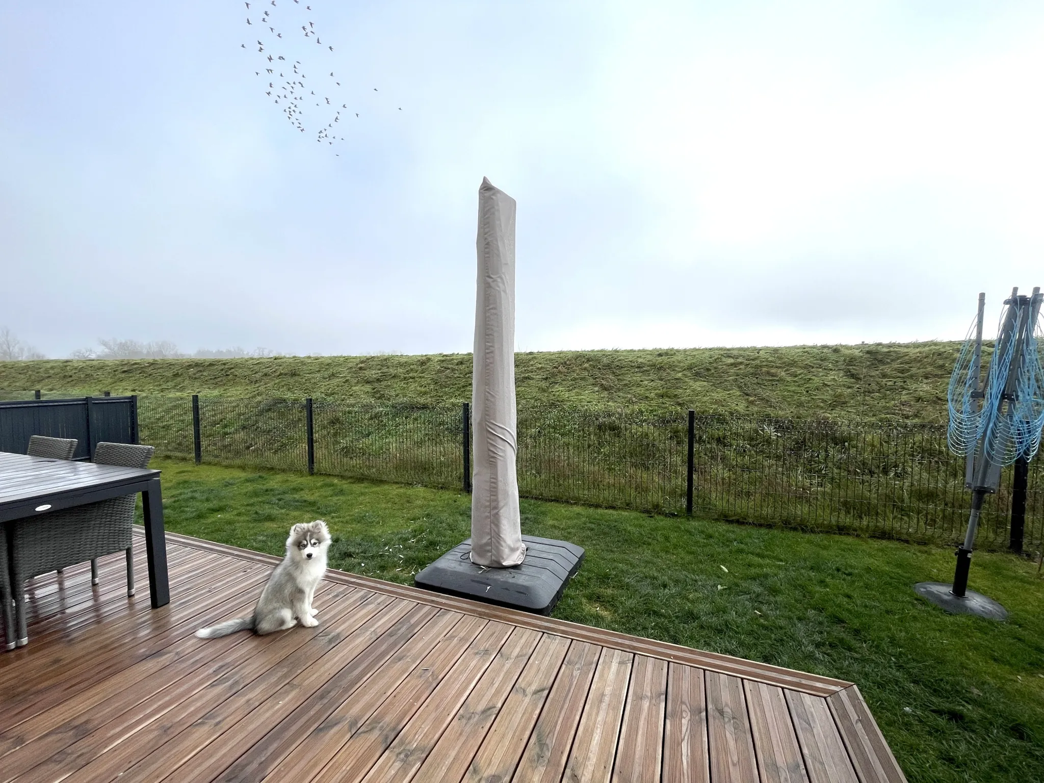 Maison neuve de 80 m2 à Ensisheim - Construction 2025, moderne, écologique 