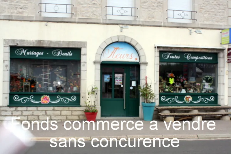 Magnifique maison en pierre avec local commercial à Chalindrey - Investissement idéal 