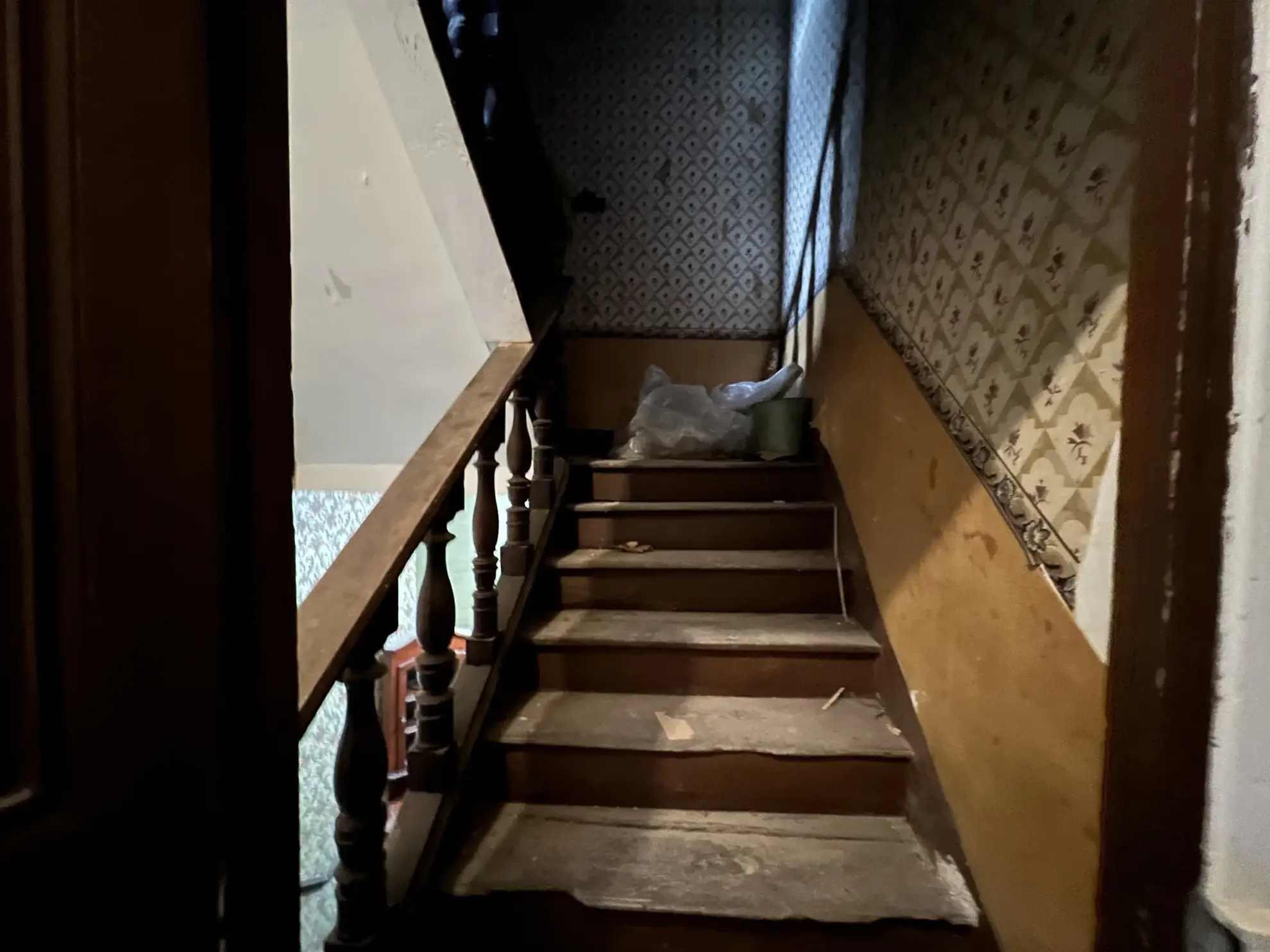 Spacieuse maison bourgeoise avec jardin à Peyriac Minervois, opportunité d'investissement 