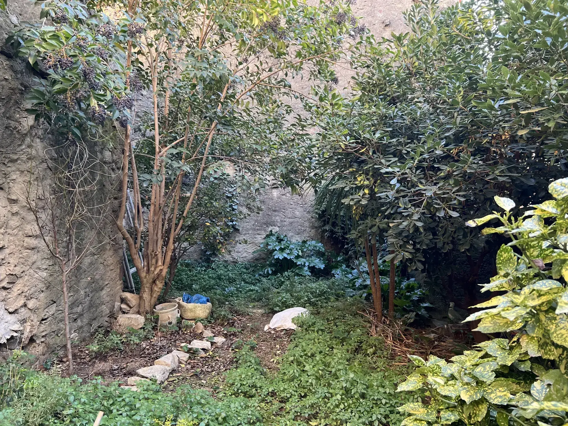 Spacieuse maison bourgeoise avec jardin à Peyriac Minervois, opportunité d'investissement 