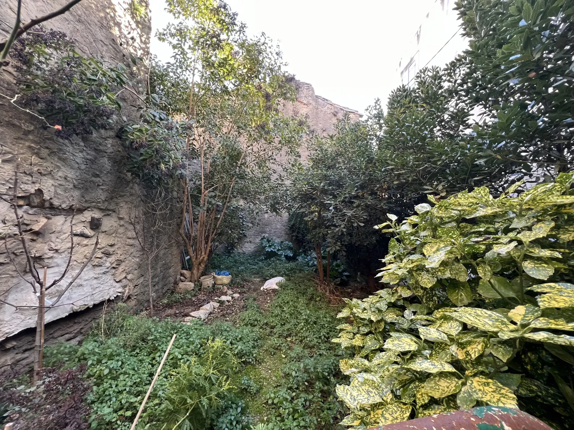 Spacieuse maison bourgeoise avec jardin à Peyriac Minervois, opportunité d'investissement 
