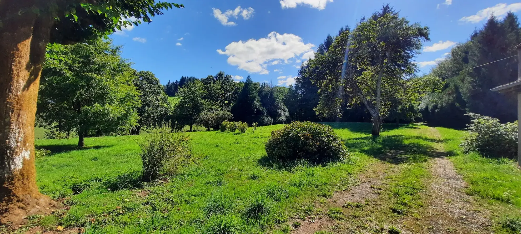 Maison en pierre à rénover avec dépendances sur un domaine boisé de 7,5 hectares à Montsalvy 