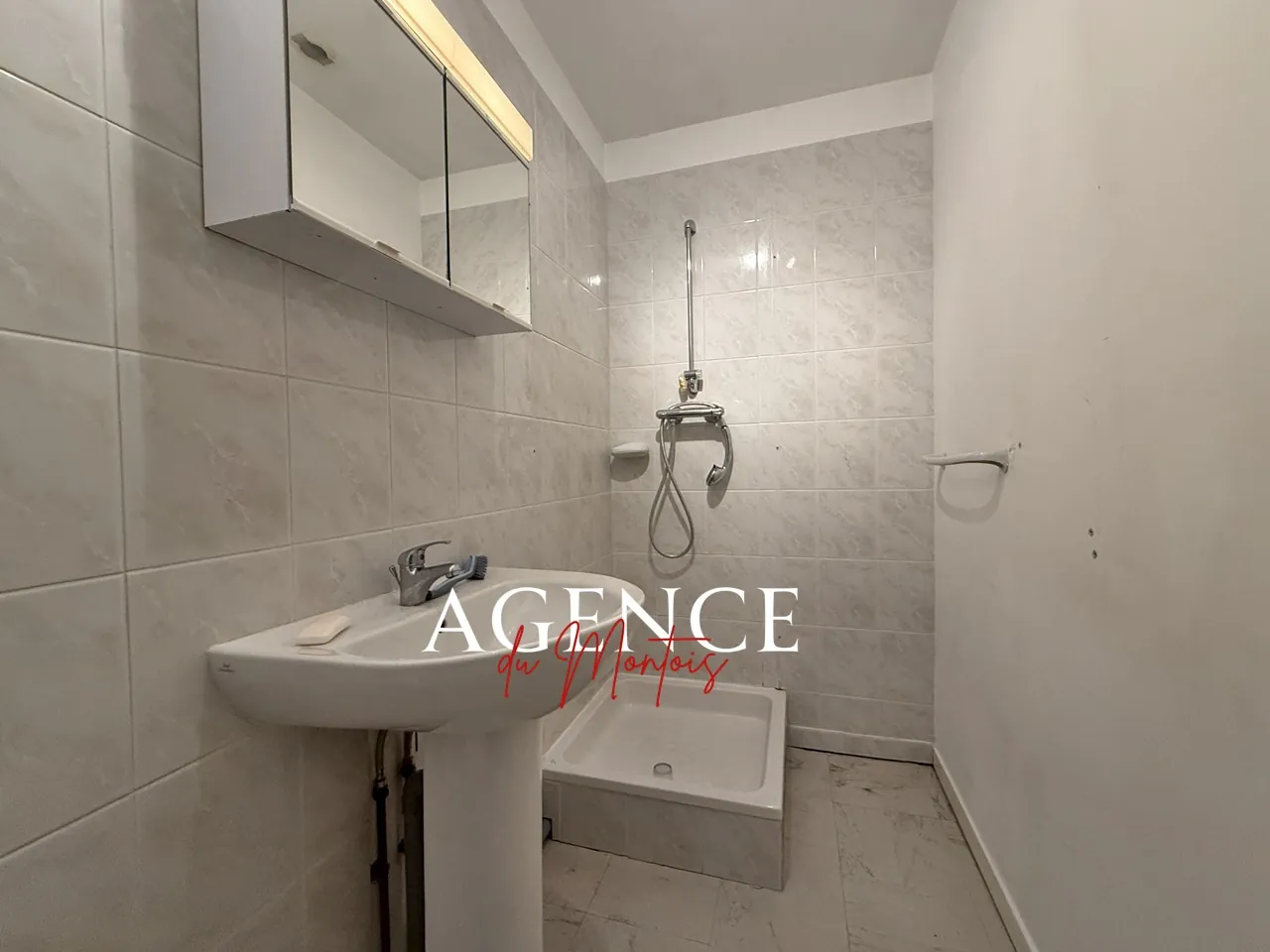 Maison à vendre à Donnemarie Dontilly - 4 chambres, jardin arboré, 80 m² 