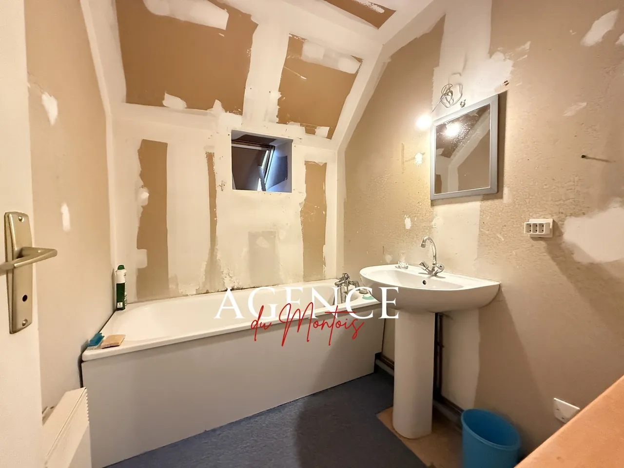 Maison à vendre à Donnemarie Dontilly - 4 chambres, jardin arboré, 80 m² 