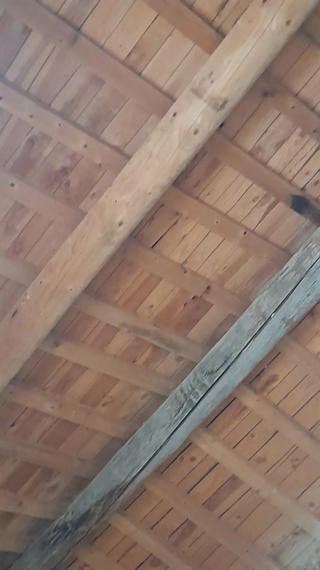 Grange en pierre à Congénies de 35 m², parfait pour atelier ou habitation, proche Nîmes et Montpellier 