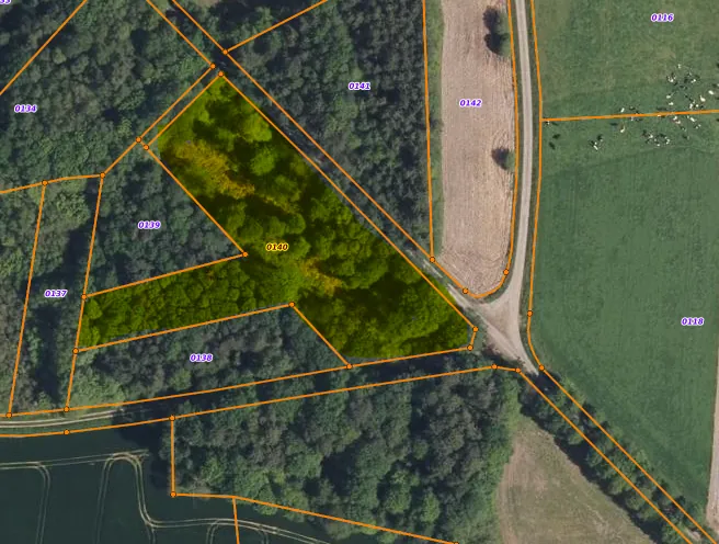 Terrain boisé non constructible de 6471 m² à vendre à Beignon en Brocéliande 